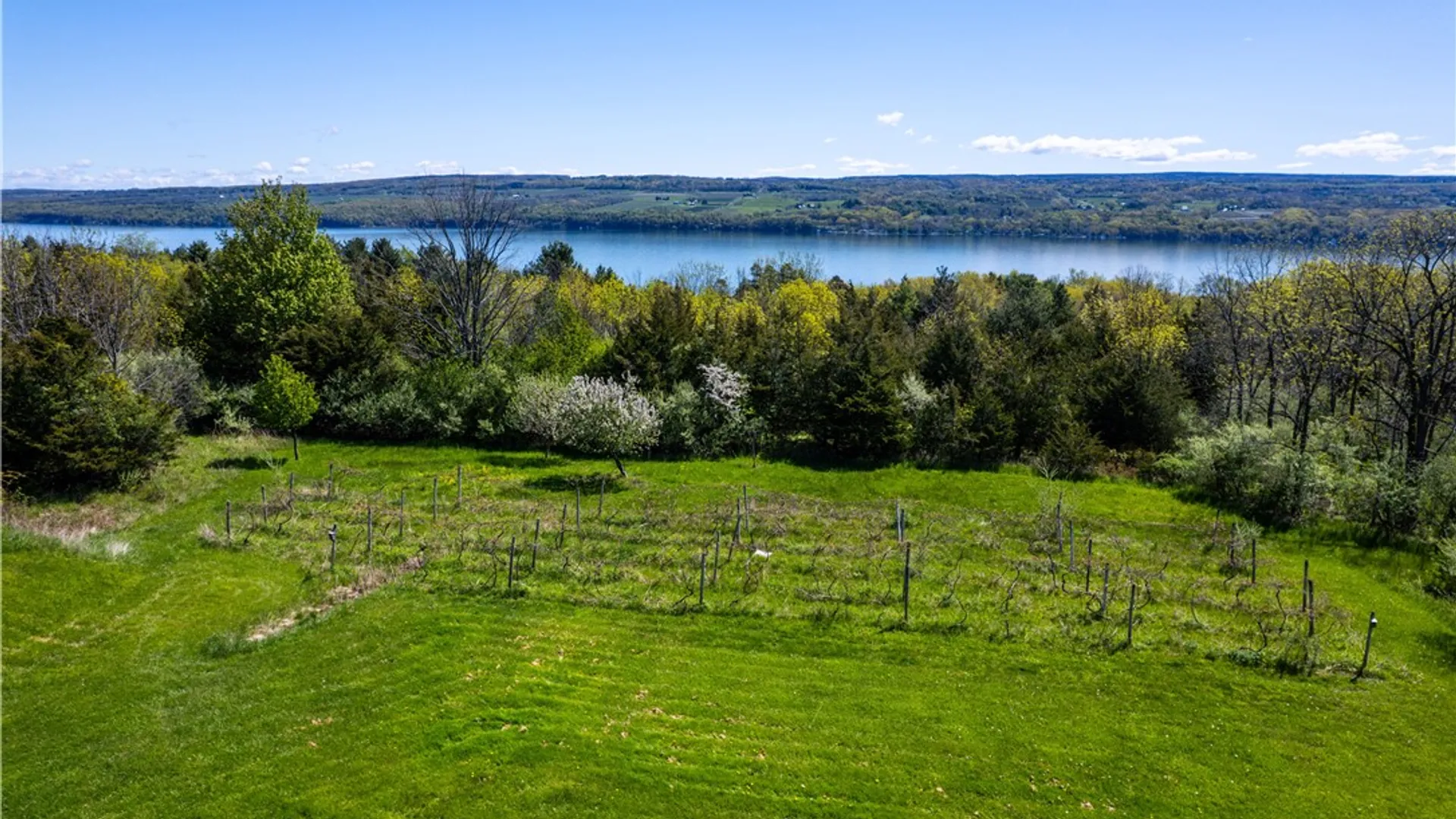 Property at 109 Lambs Run Creek Road, Starkey, NY 14837 12