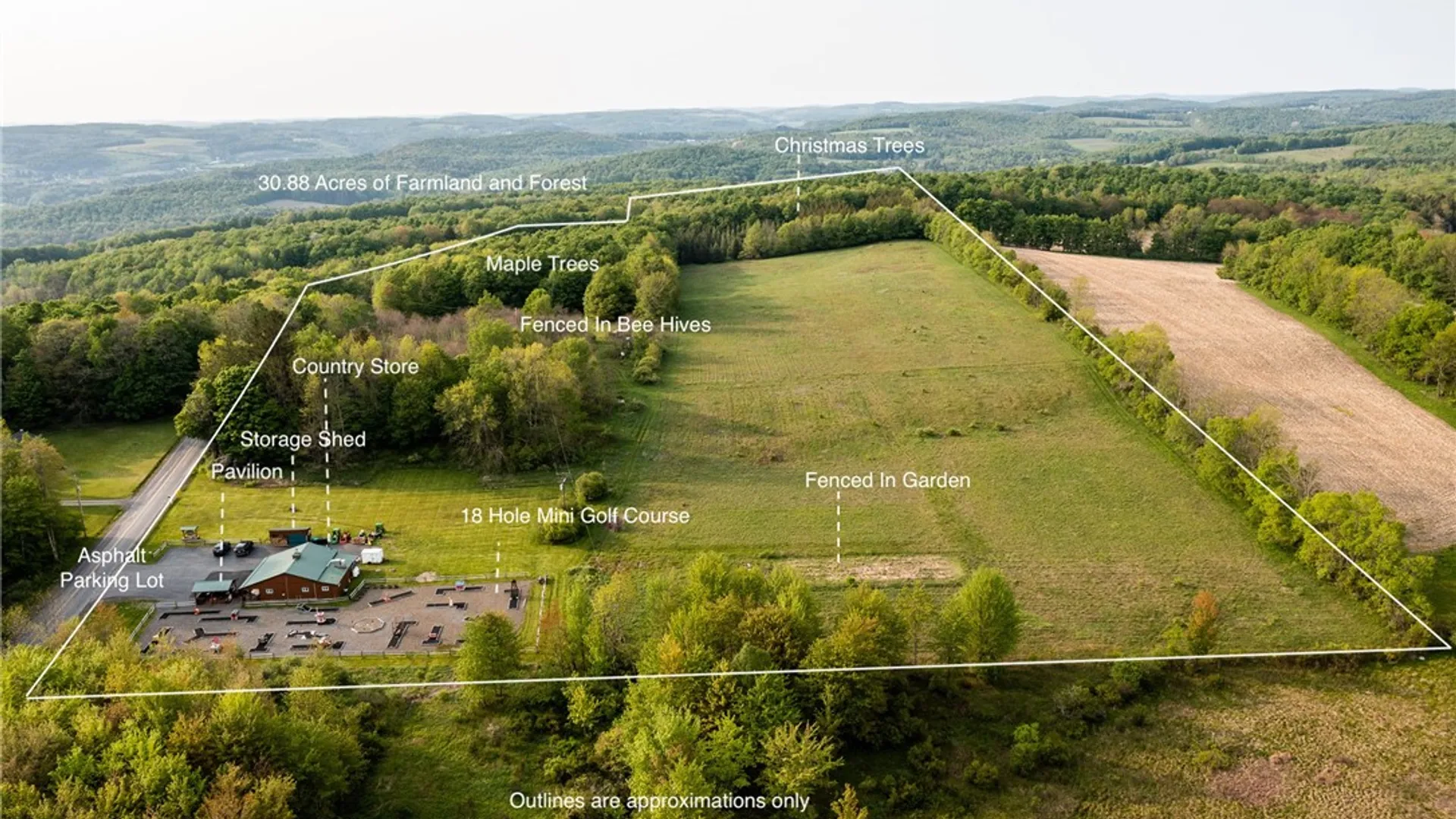 Property at 1364 County Highway 12, New Lisbon, NY 13810 2
