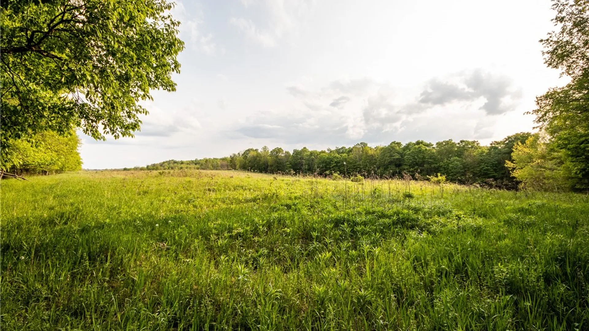 Property at 1364 County Highway 12, New Lisbon, NY 13810 44