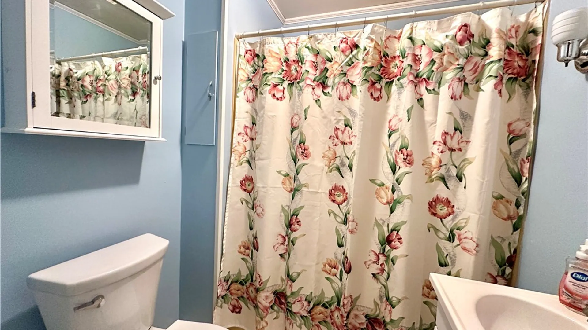 Property at 47 Maple Street, Addison, NY 14801 10