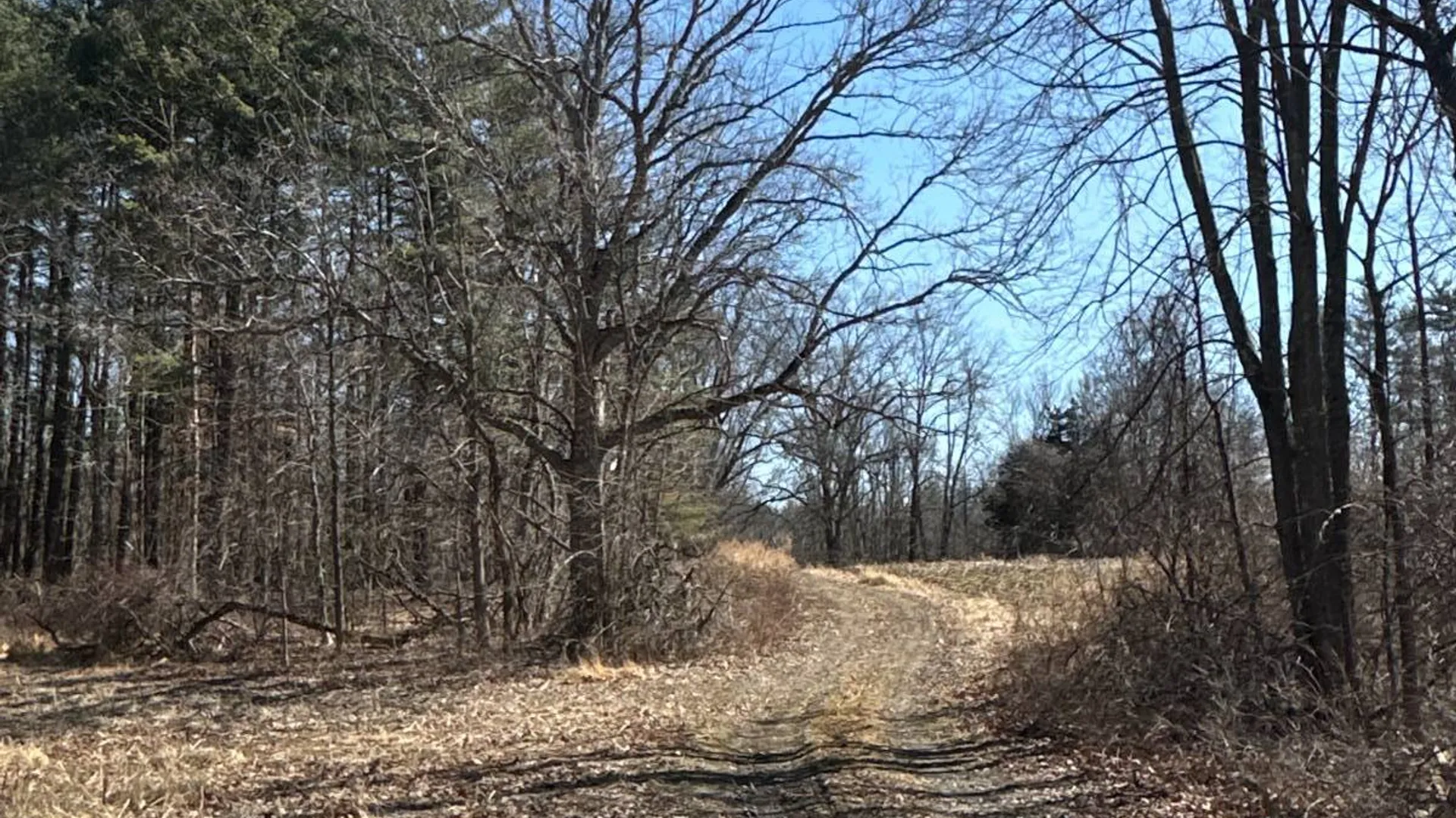Property at 390 Ridge Rd, Schodack Landing, NY 12156 26