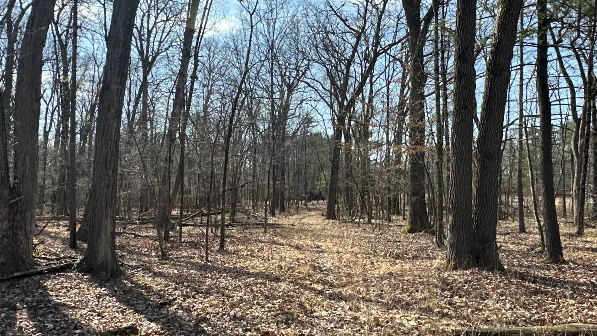 Property at 390 Ridge Rd, Schodack Landing, NY 12156 28