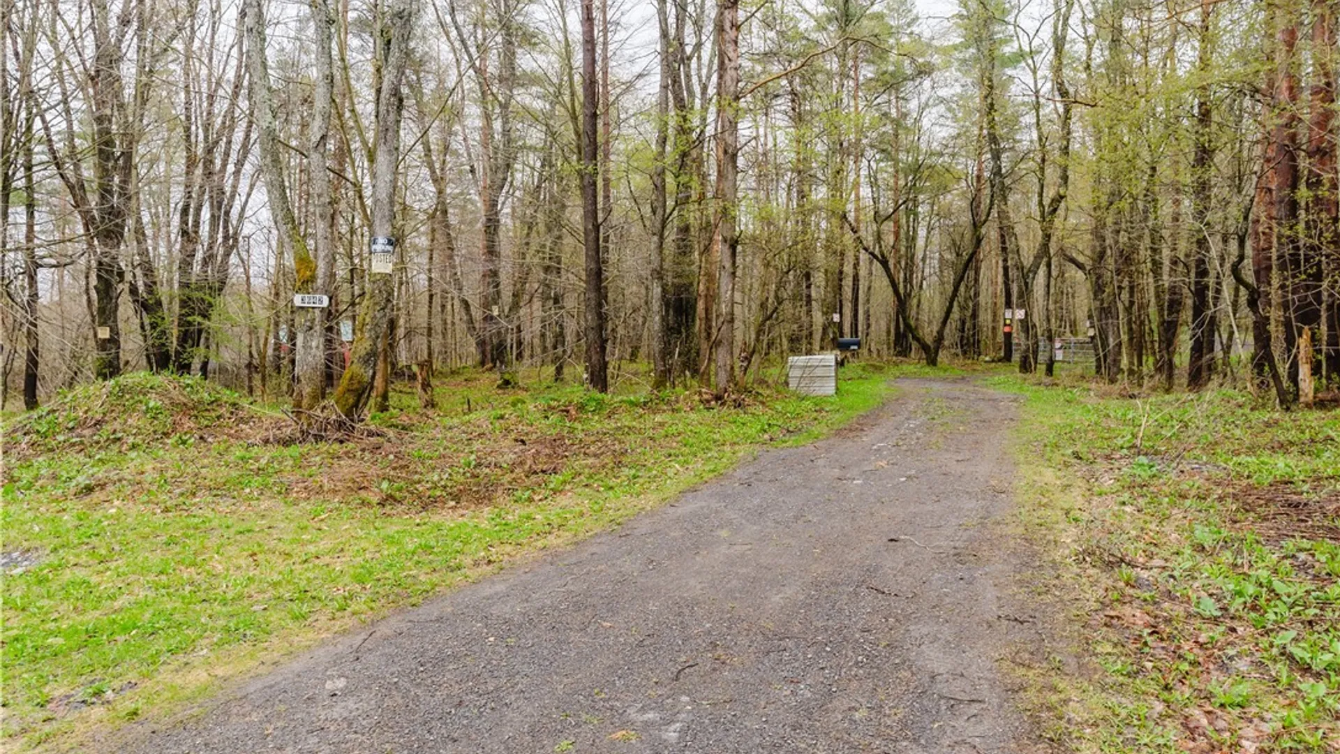 Property at 3642 Van Brocklin Road, Worth, NY 13659 38
