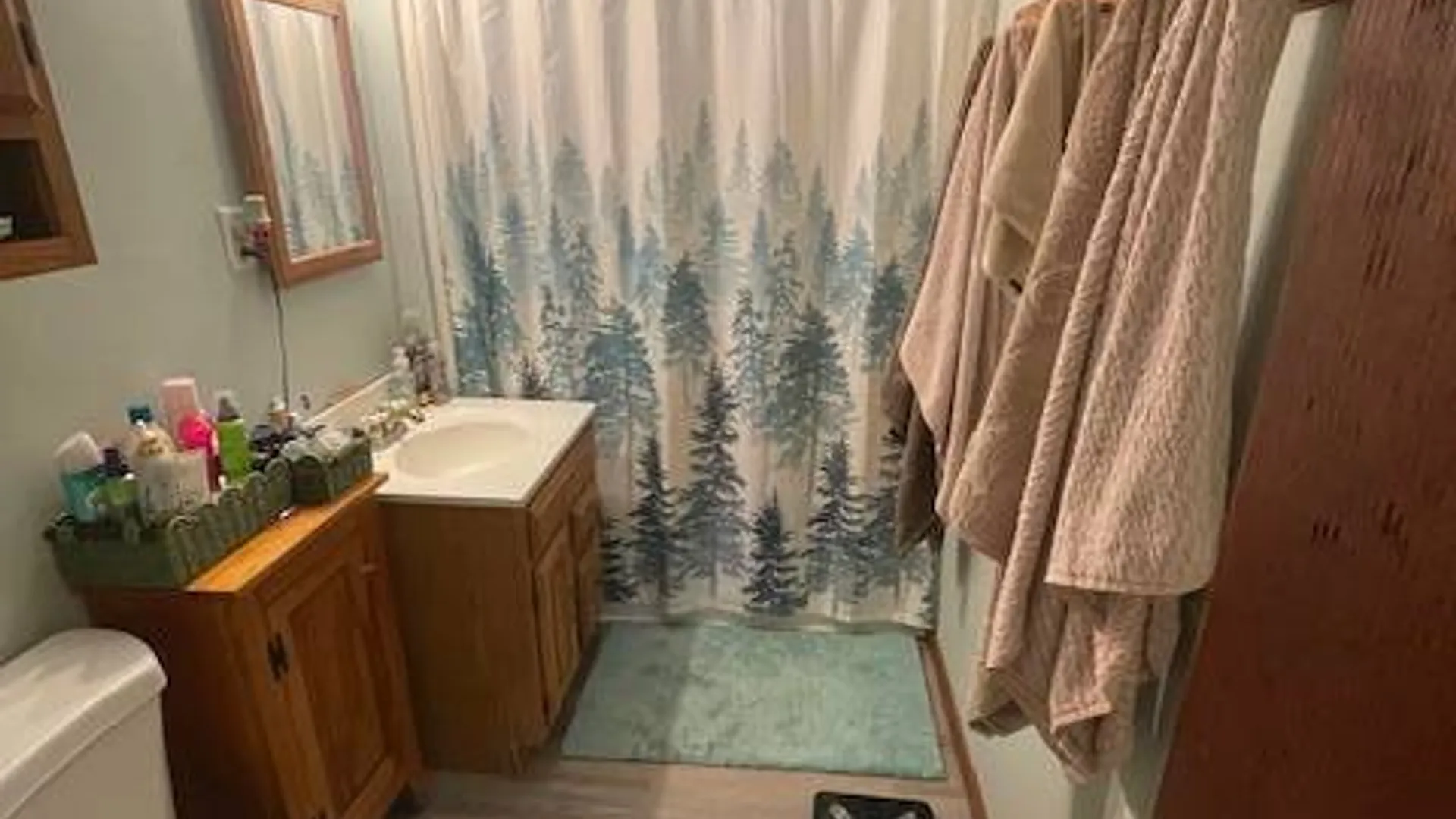 Property at 62 Tybush Lane, Brunswick, NY 12180 17