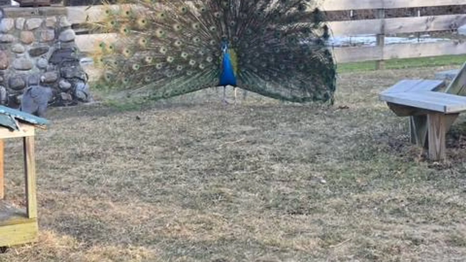 Property at 62 Tybush Lane, Brunswick, NY 12180 23