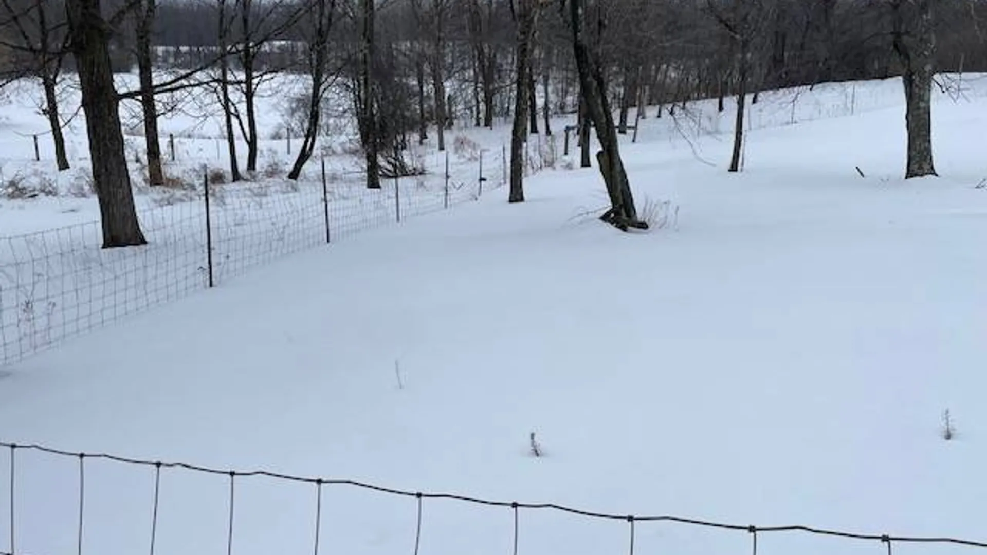 Property at 62 Tybush Lane, Brunswick, NY 12180 28