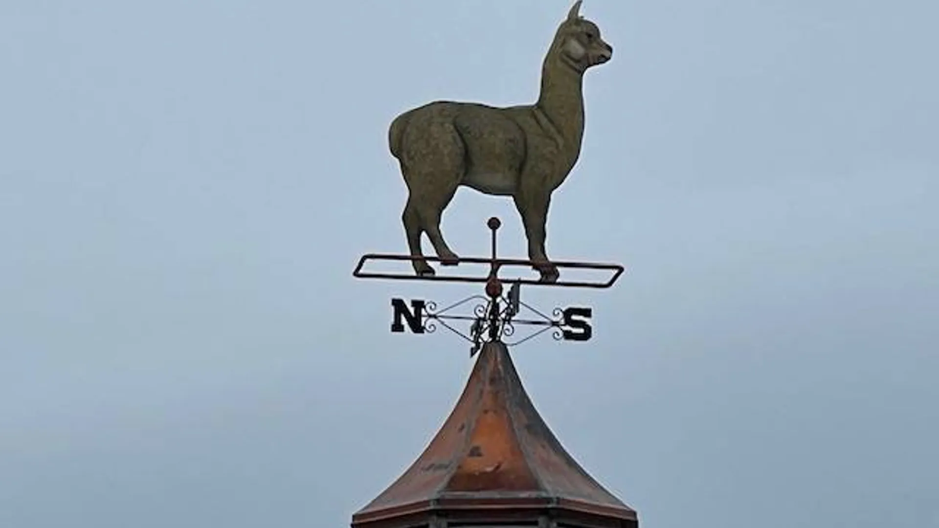 Property at 62 Tybush Lane, Brunswick, NY 12180 29