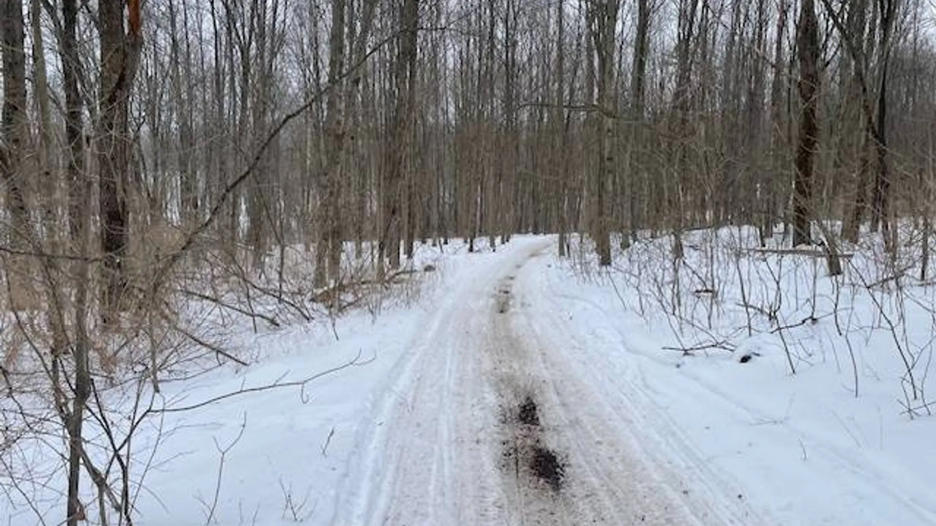 Property at 62 Tybush Lane, Brunswick, NY 12180 38