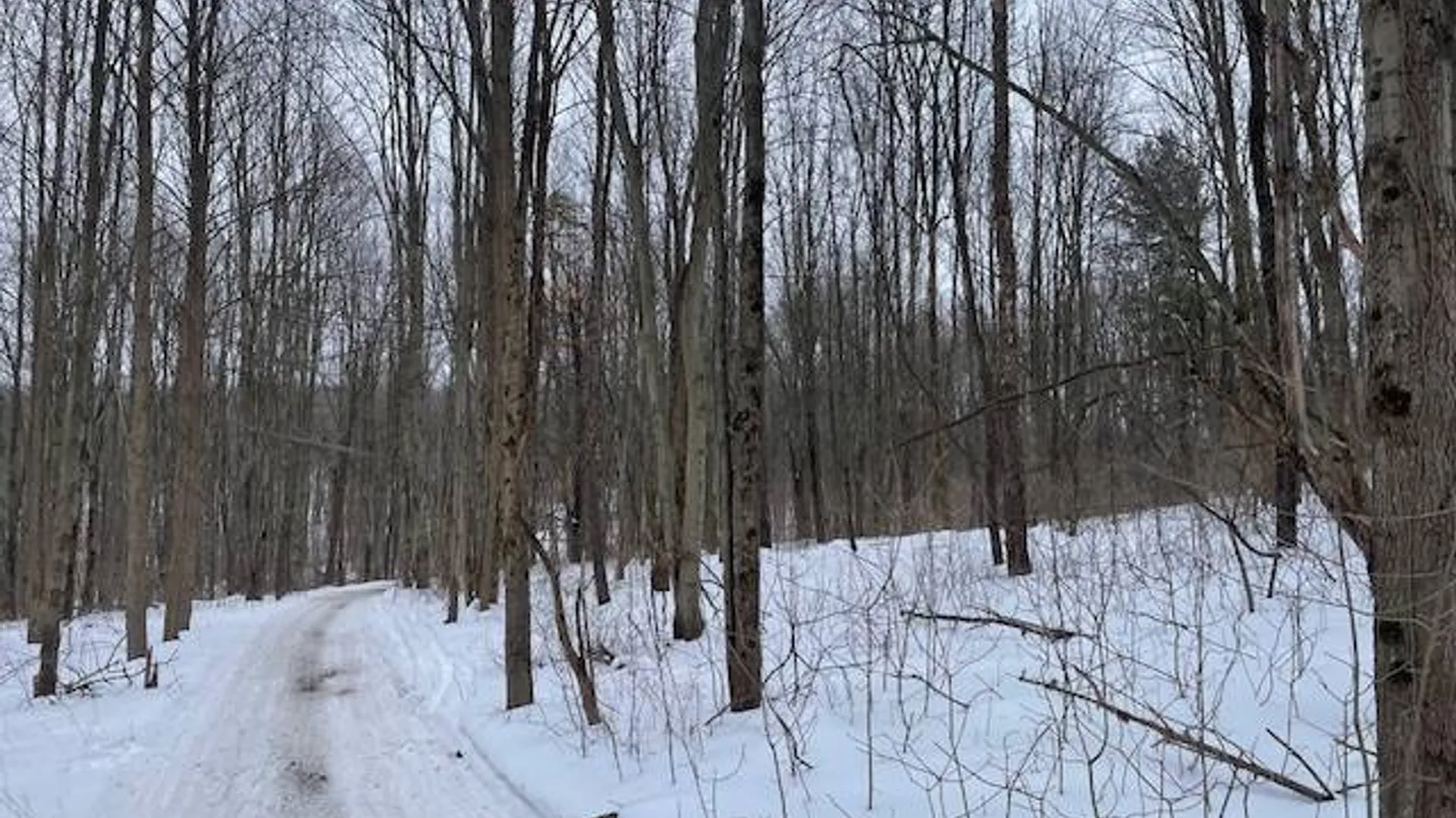 Property at 62 Tybush Lane, Brunswick, NY 12180 39