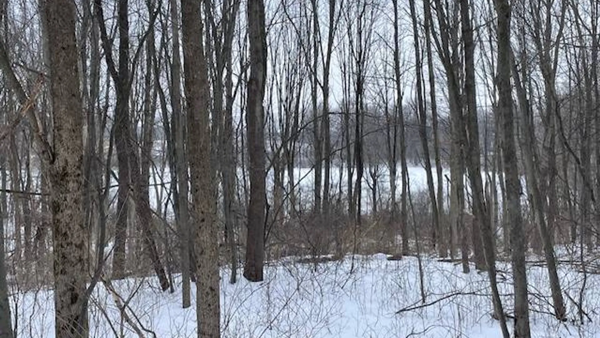 Property at 62 Tybush Lane, Brunswick, NY 12180 44