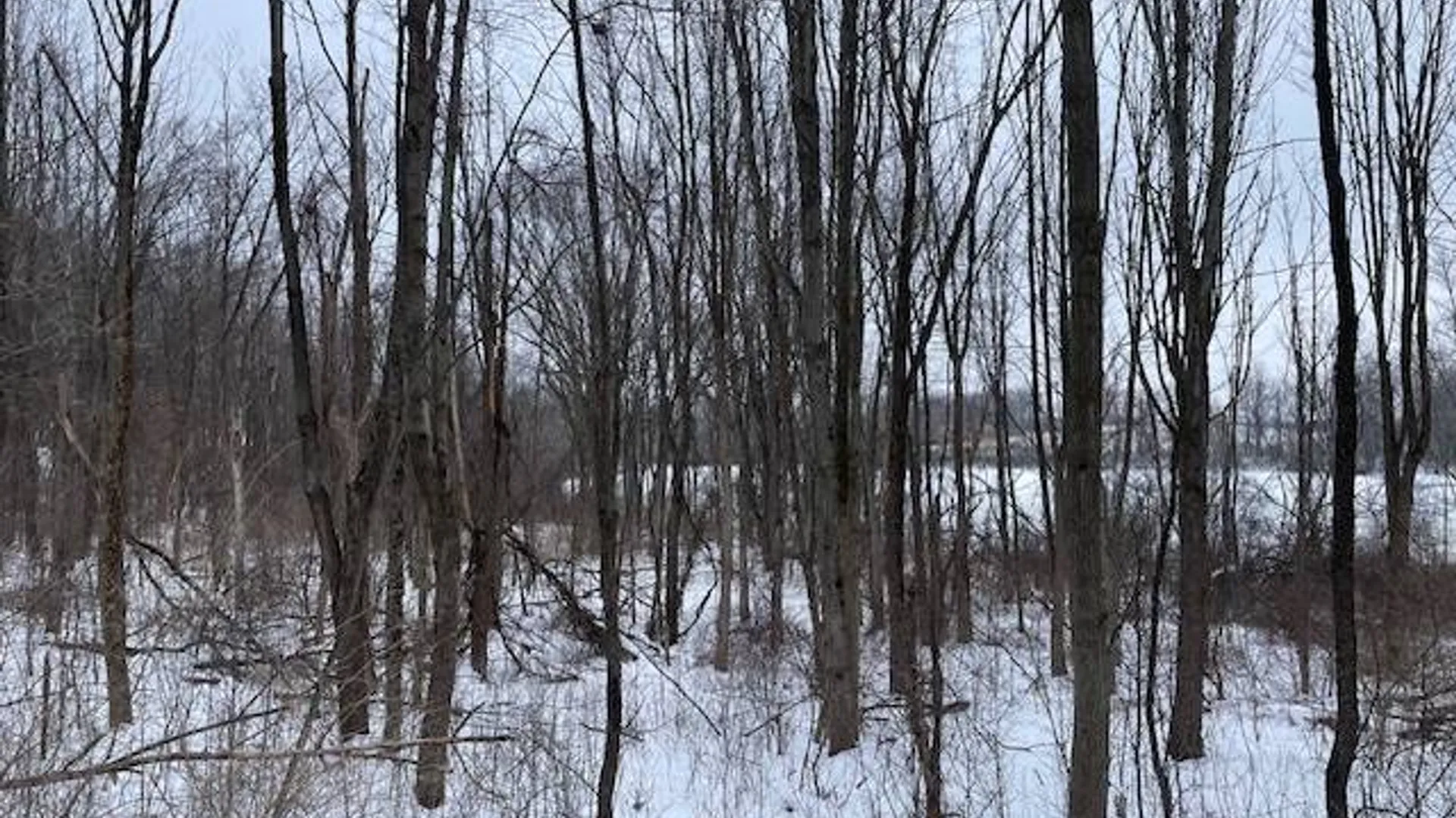 Property at 62 Tybush Lane, Brunswick, NY 12180 45