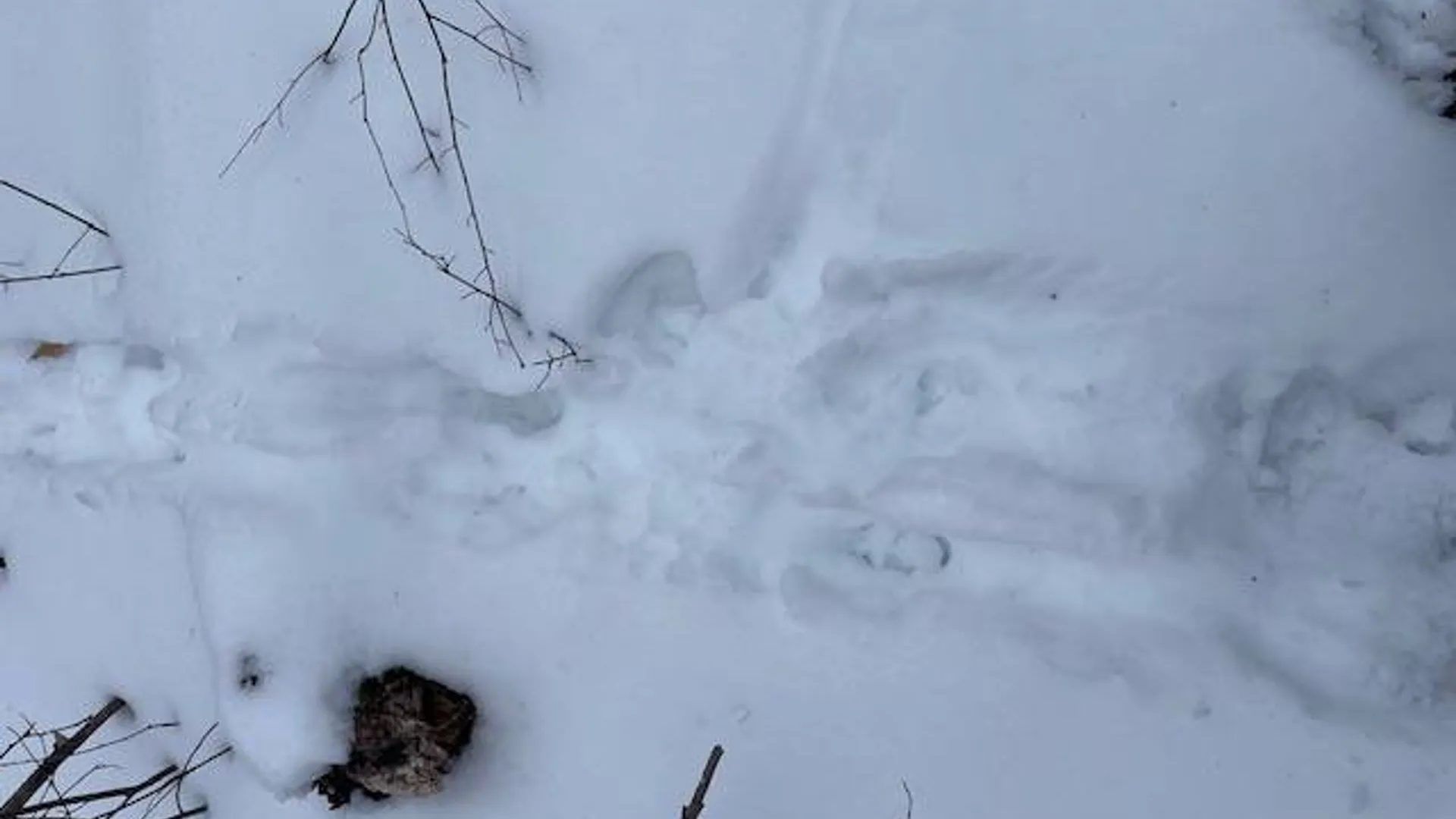 Property at 62 Tybush Lane, Brunswick, NY 12180 57