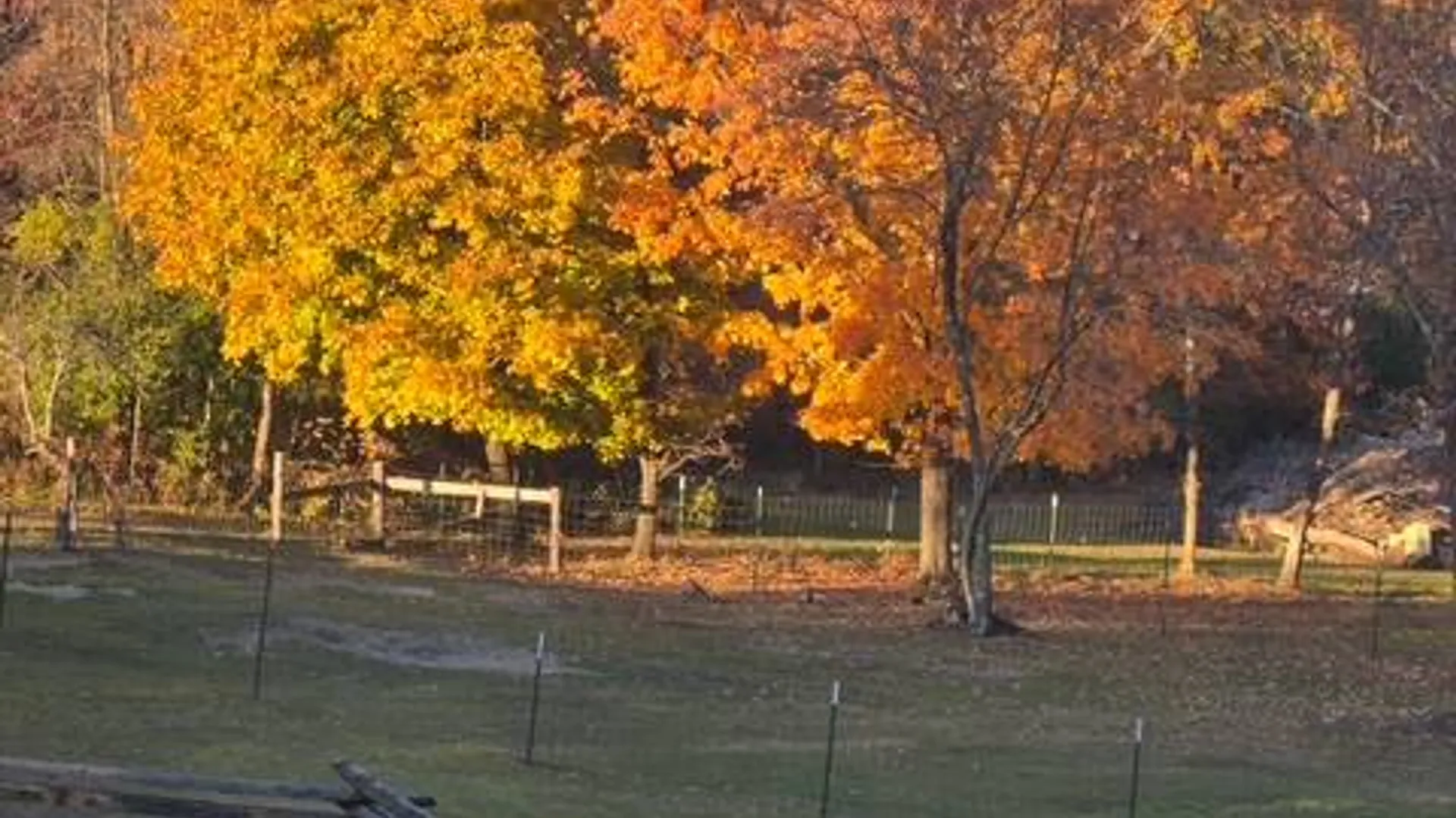 Property at 62 Tybush Lane, Brunswick, NY 12180 59