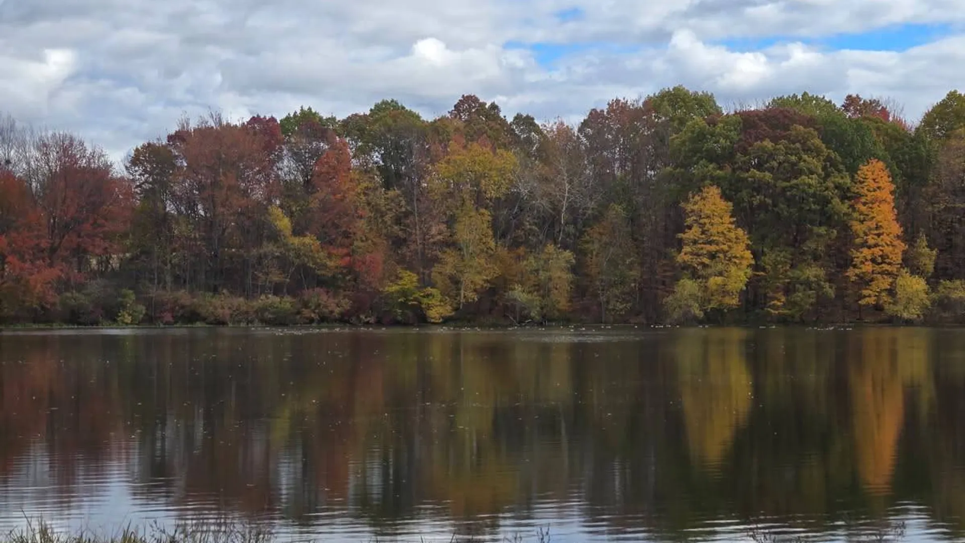 Property at 62 Tybush Lane, Brunswick, NY 12180 6