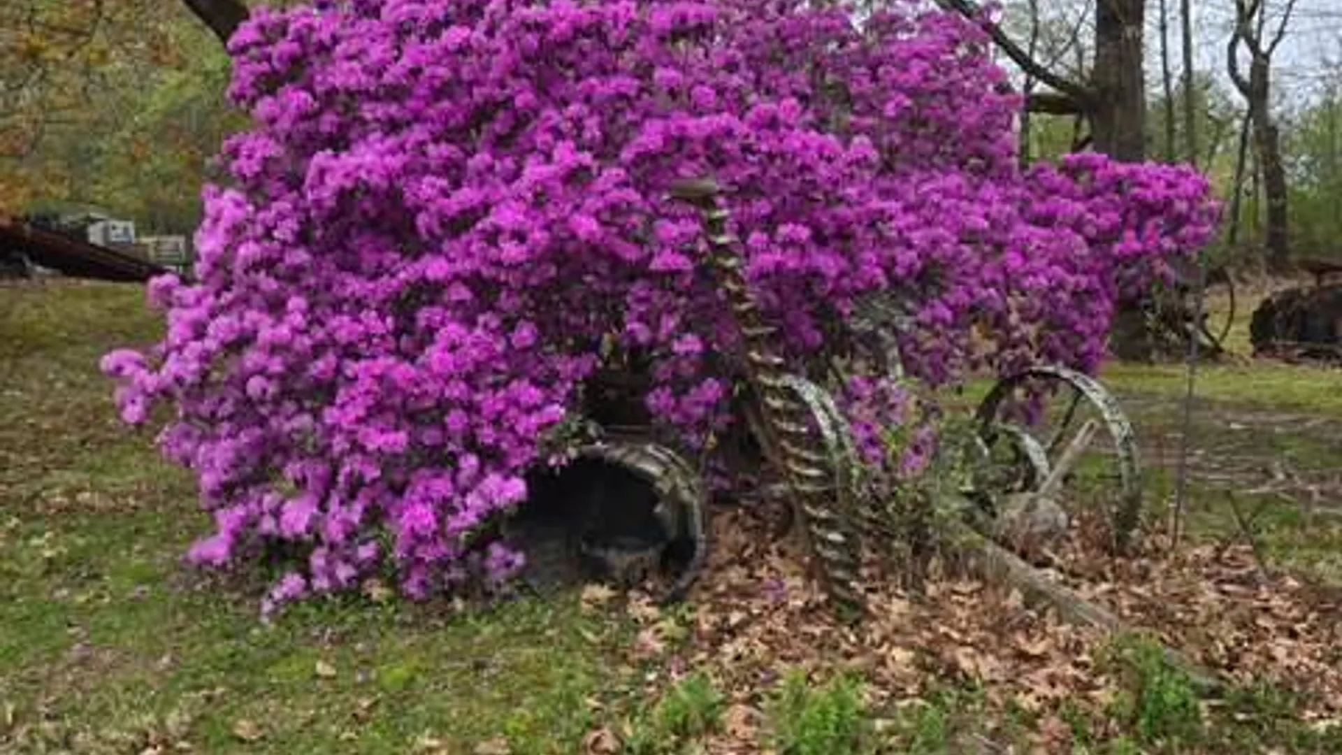 Property at 62 Tybush Lane, Brunswick, NY 12180 69