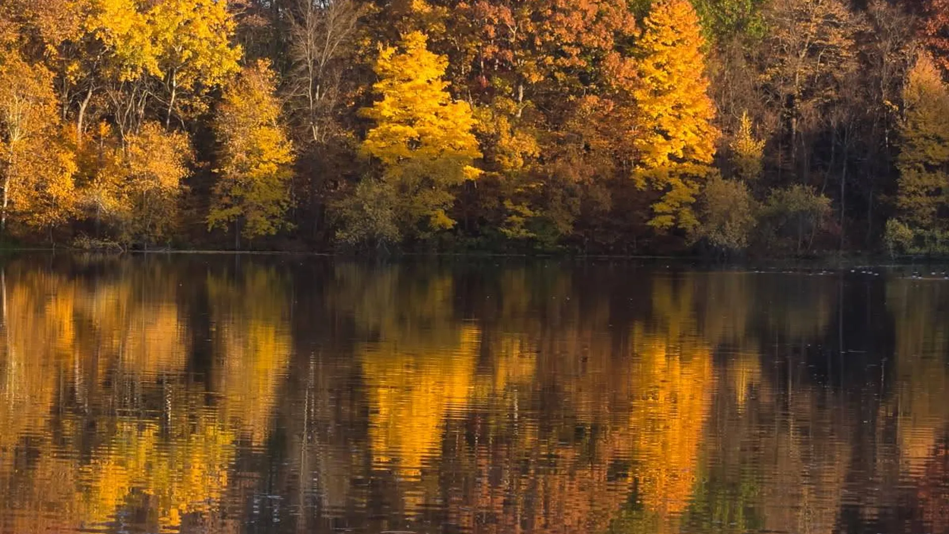 Property at 62 Tybush Lane, Brunswick, NY 12180 7