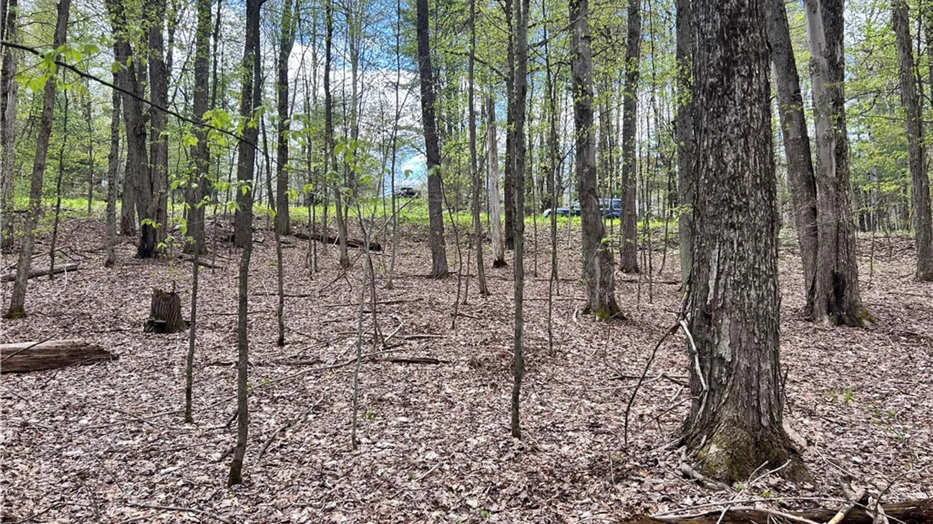 Property at Mary Brown Hill Road, Laurens, NY 13796 10