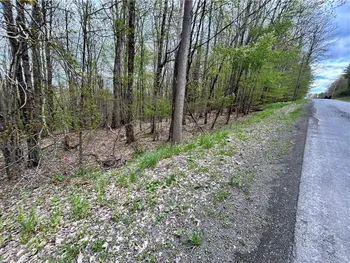 Property at Mary Brown Hill Road, Laurens, NY 13796