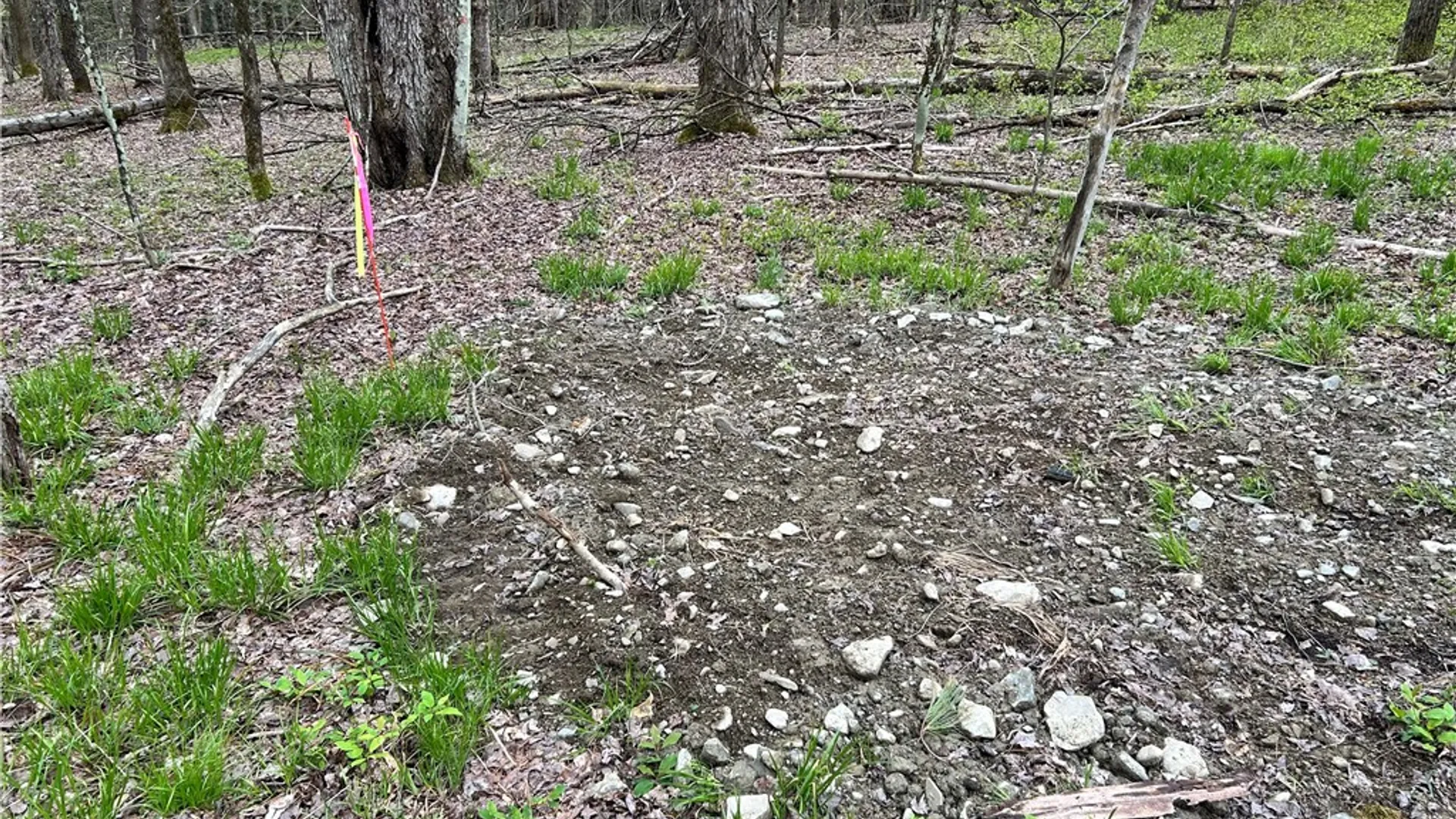 Property at Mary Brown Hill Road, Laurens, NY 13796 4