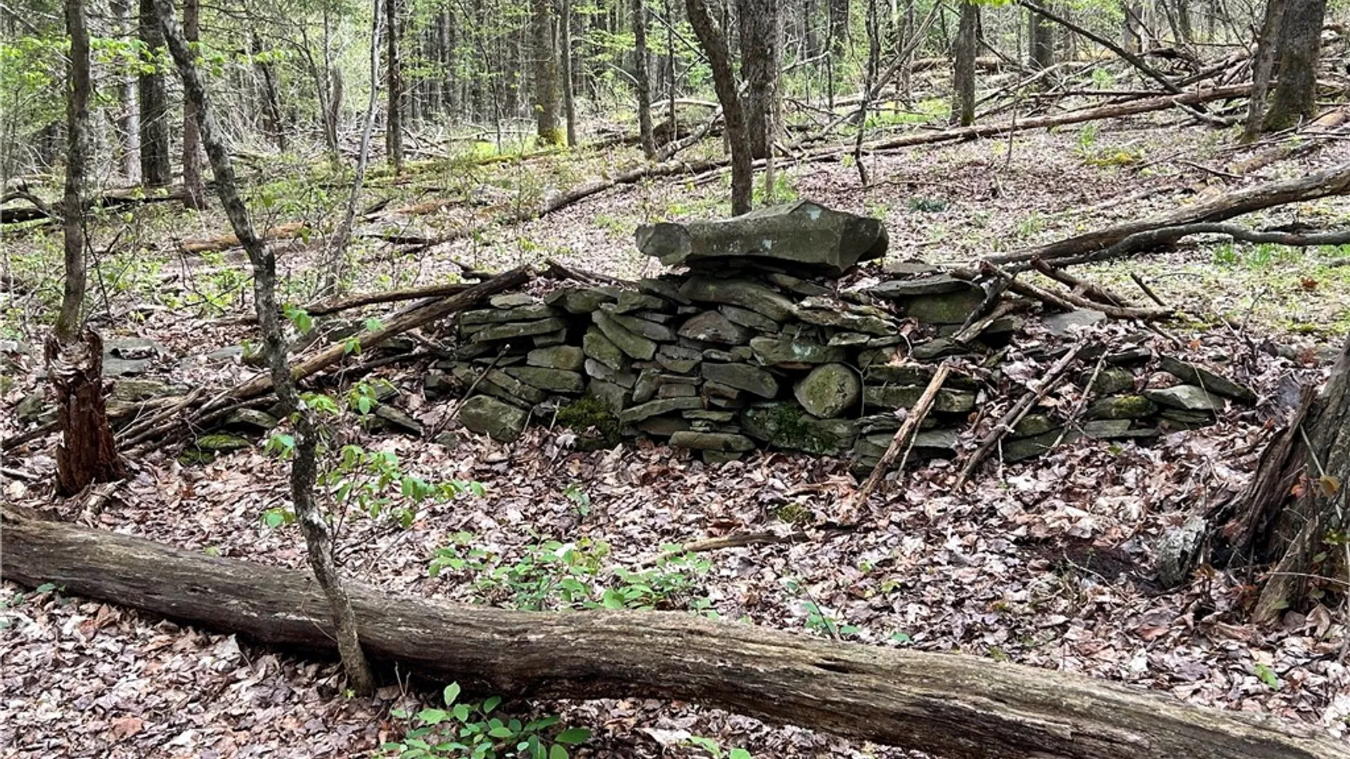 Property at Mary Brown Hill Road, Laurens, NY 13796 7