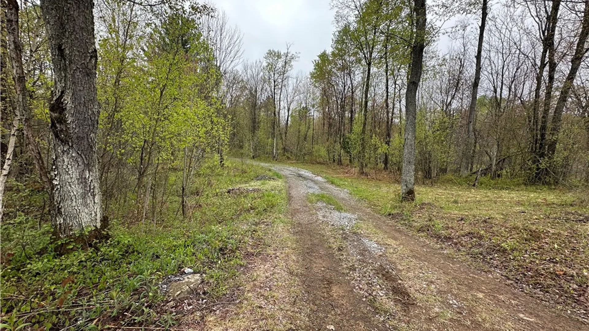 Property at 4815 Texas Road, Croghan, NY 13327 17