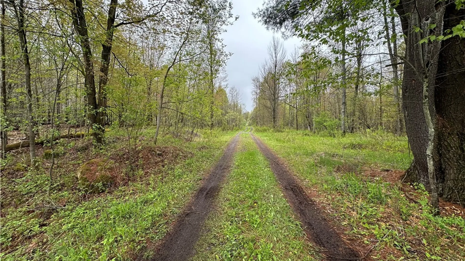 Property at 4815 Texas Road, Croghan, NY 13327 18