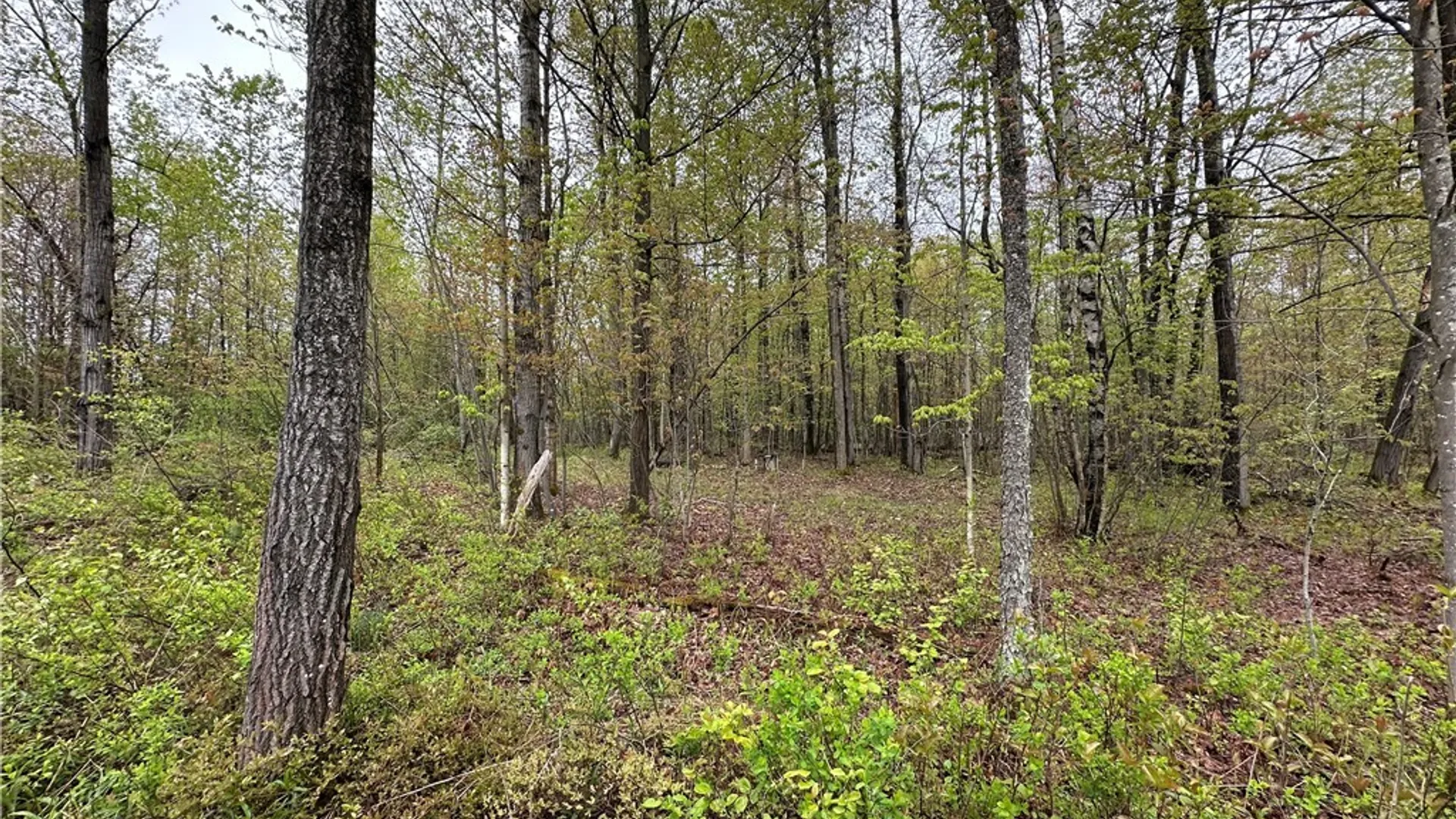 Property at 4815 Texas Road, Croghan, NY 13327 19