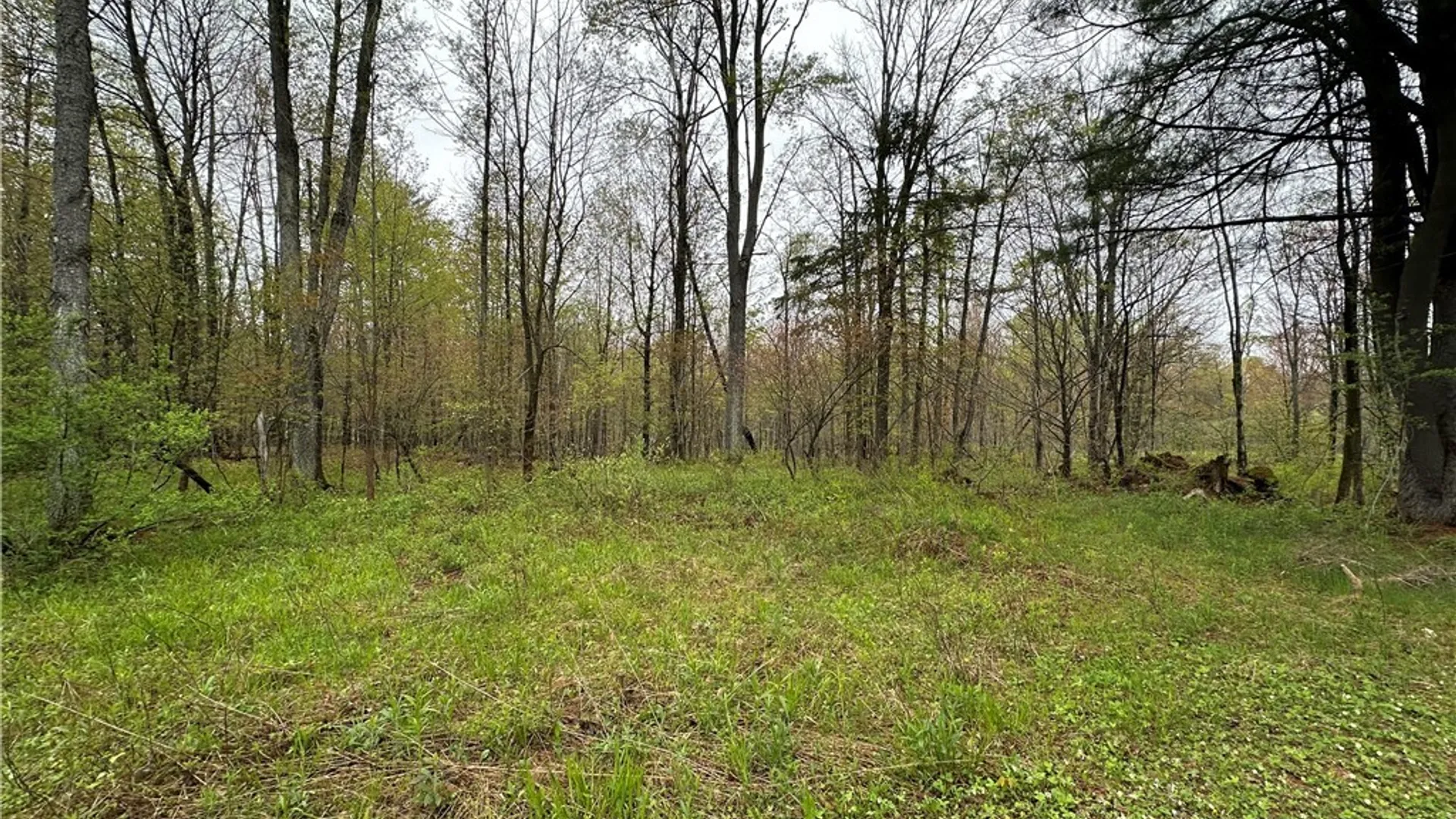 Property at 4815 Texas Road, Croghan, NY 13327 4
