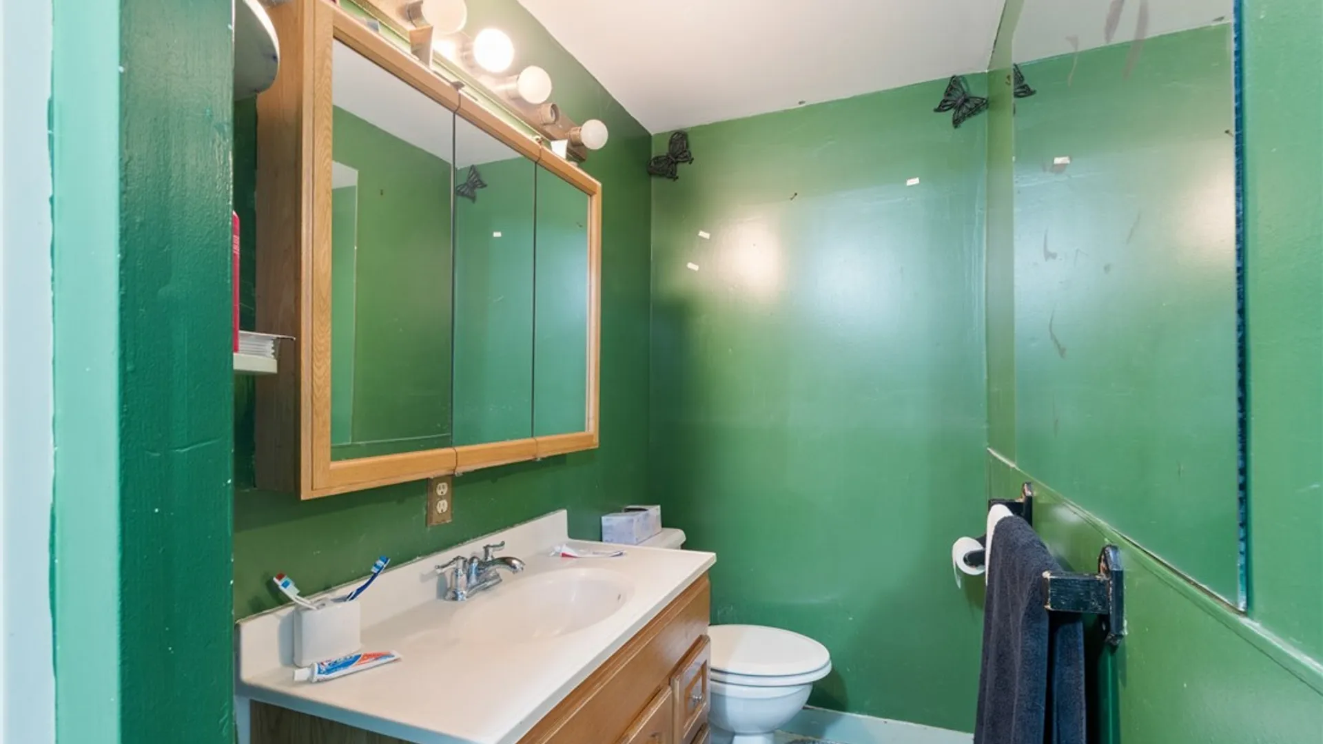 Property at 65 Washington Street, Fayette, NY 13148 18
