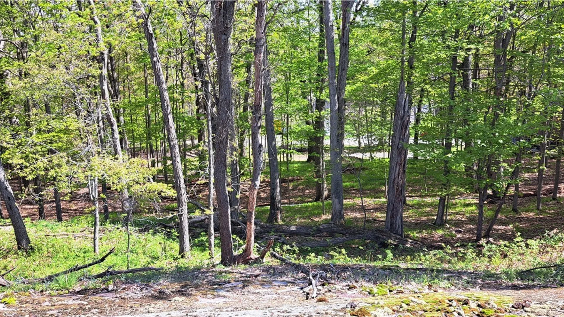 Property at 17379 Sunrise Avenue, Orleans, NY 13692 43