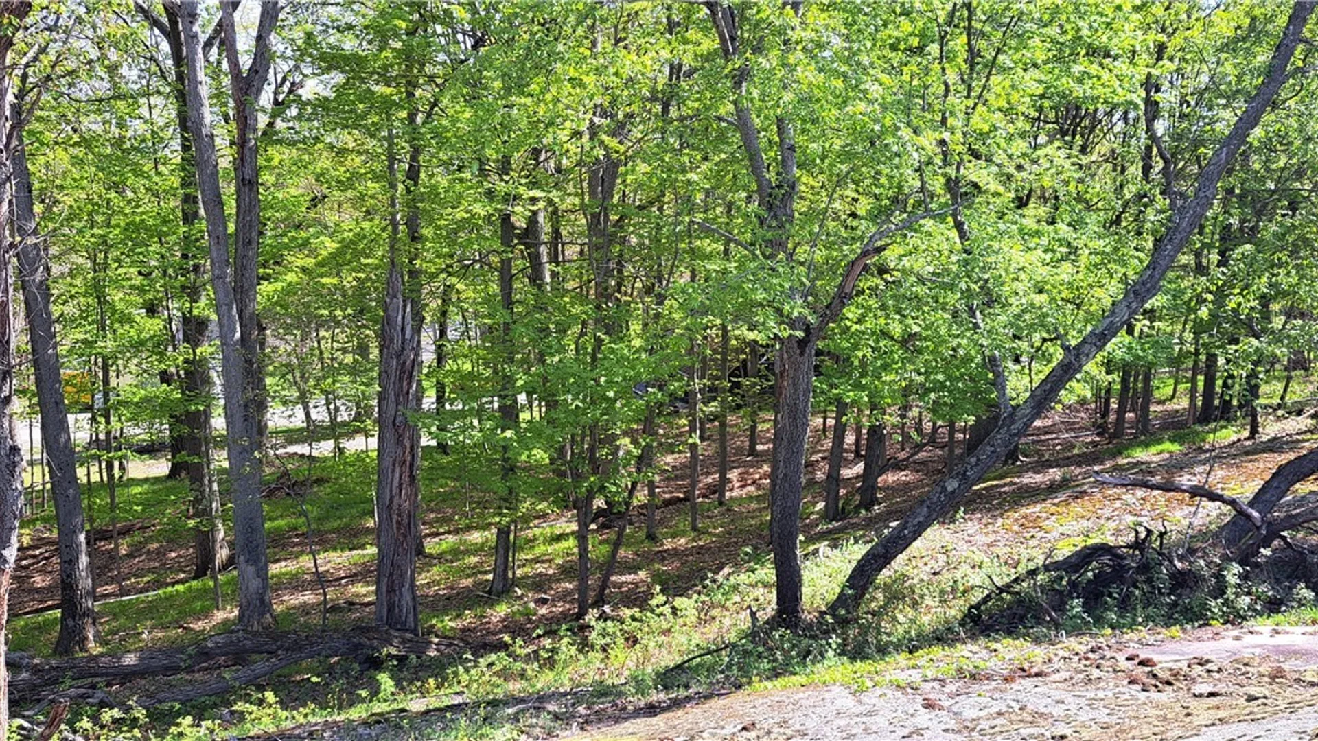 Property at 17379 Sunrise Avenue, Orleans, NY 13692 44