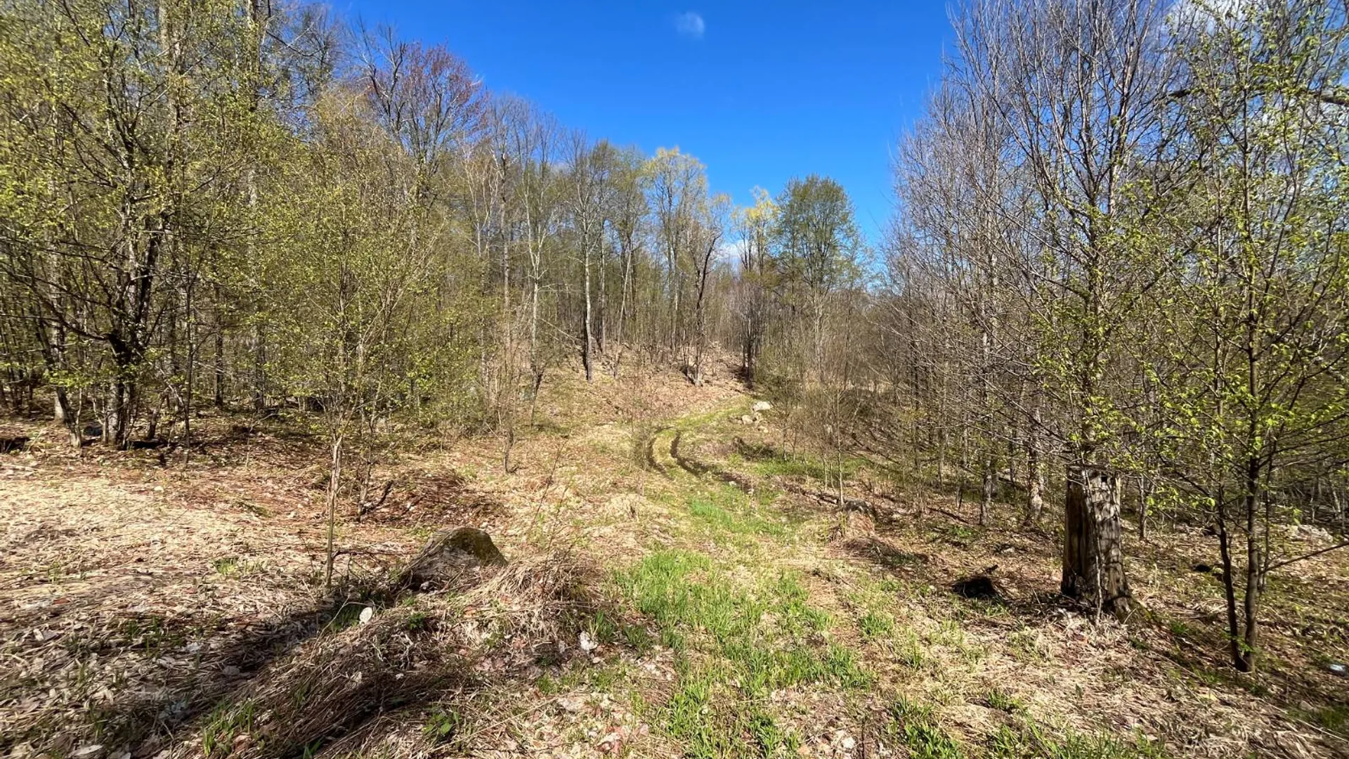 Property at 00 Silver Hill Road, Russell, NY 13684 21