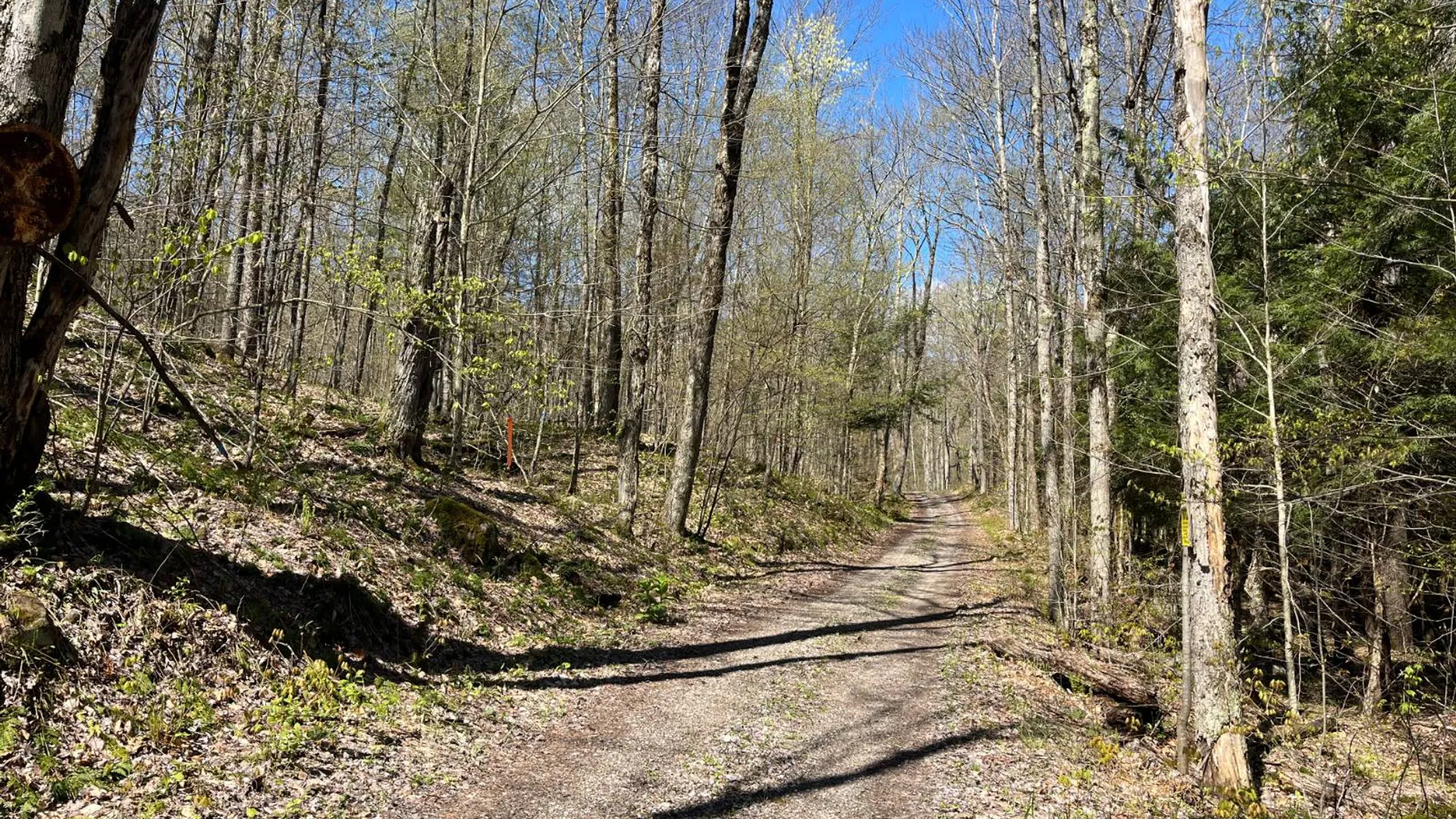 Property at 00 Silver Hill Road, Russell, NY 13684 22