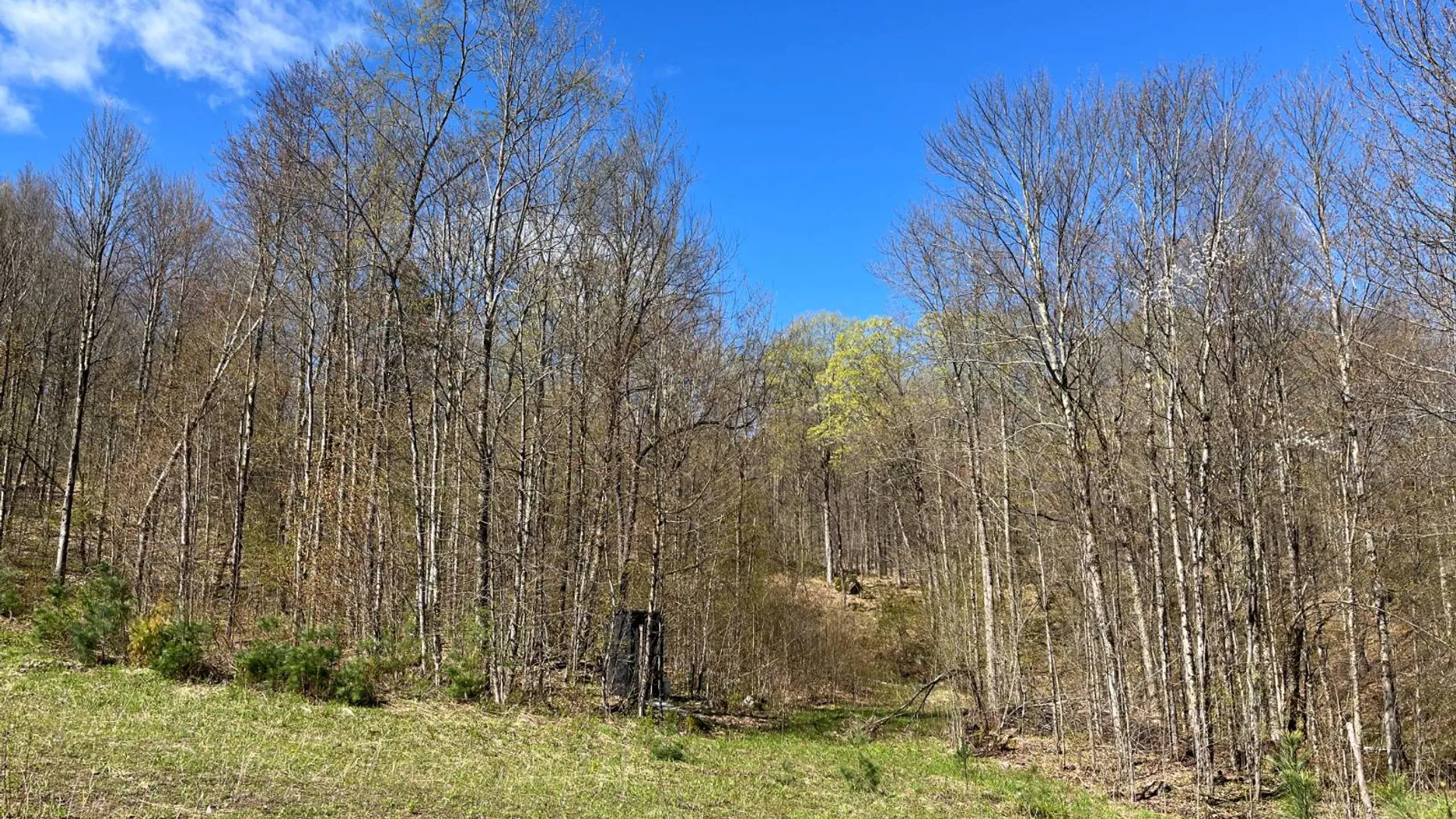 Property at 00 Silver Hill Road, Russell, NY 13684 26