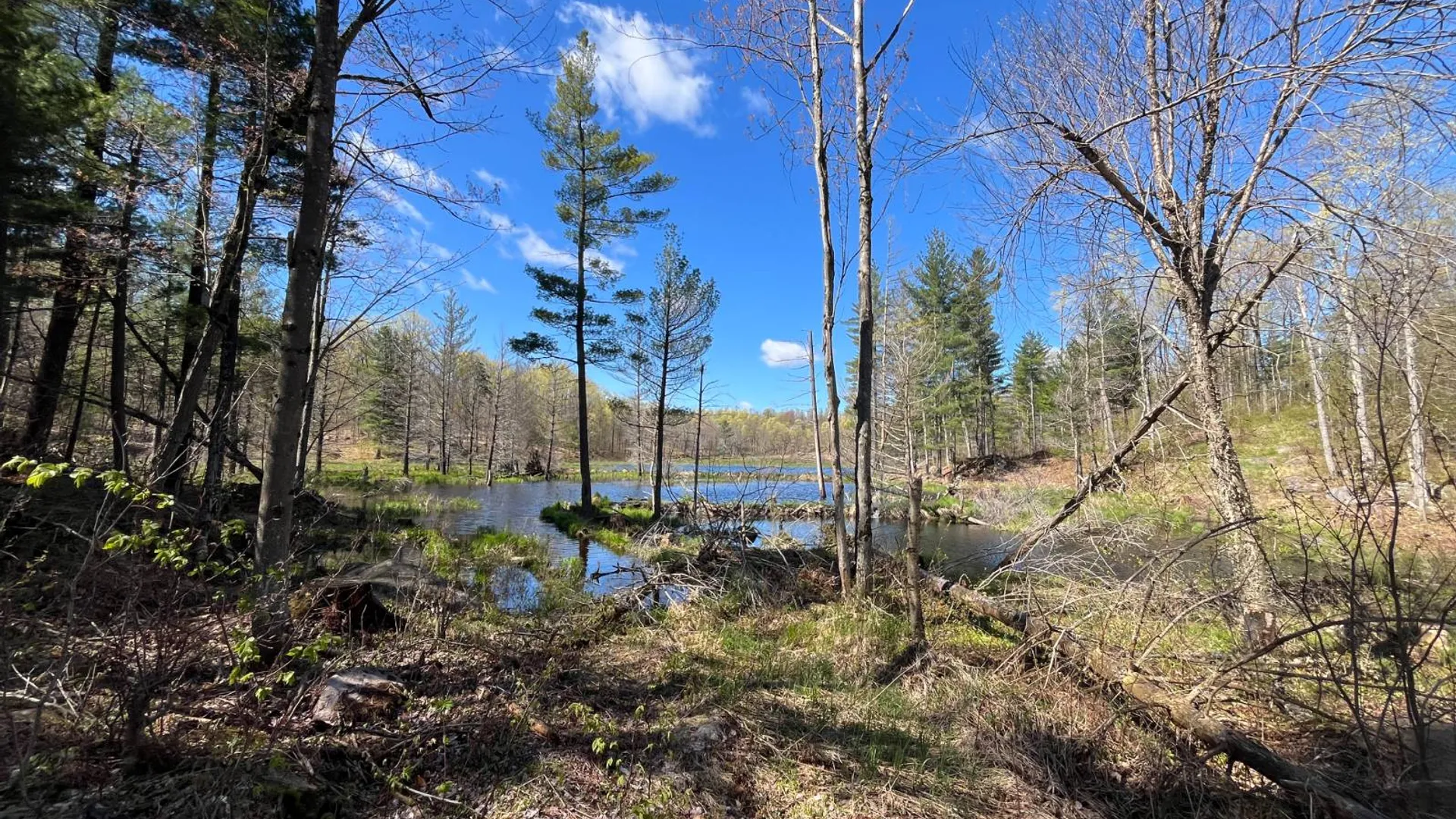 Property at 00 Silver Hill Road, Russell, NY 13684 37