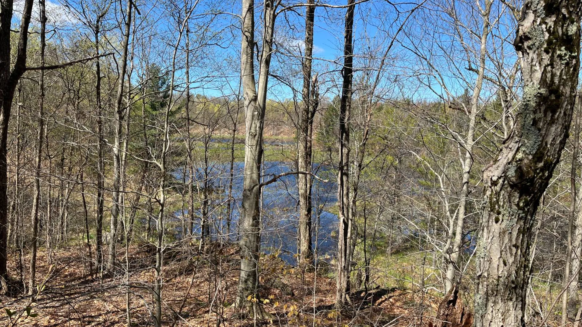 Property at 00 Silver Hill Road, Russell, NY 13684 40