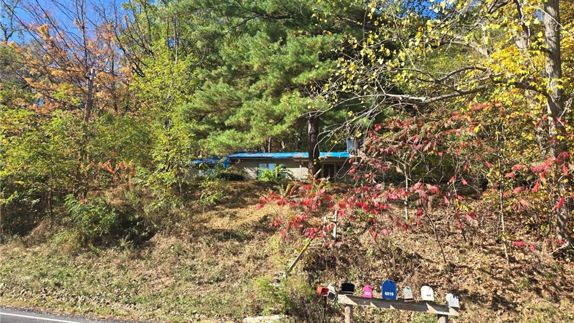 Property at 6000 County Road 36, Canadice, NY 14471 16