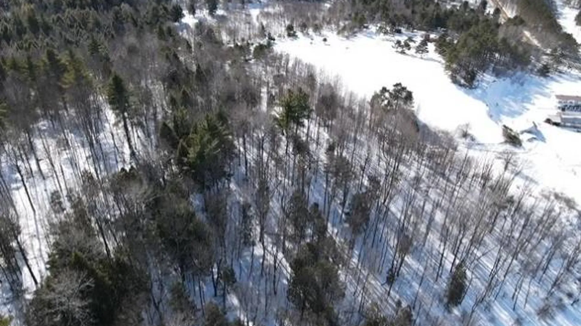 Property at SH 3 State Highway 3, Pitcairn, NY 13642 10