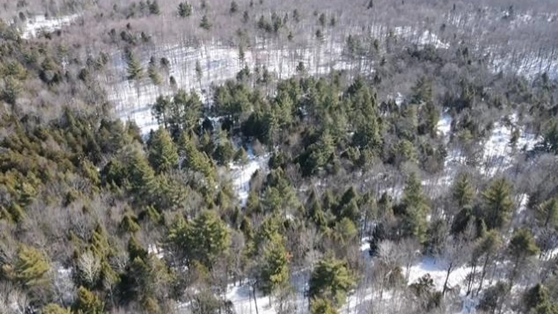 Property at SH 3 State Highway 3, Pitcairn, NY 13642 11