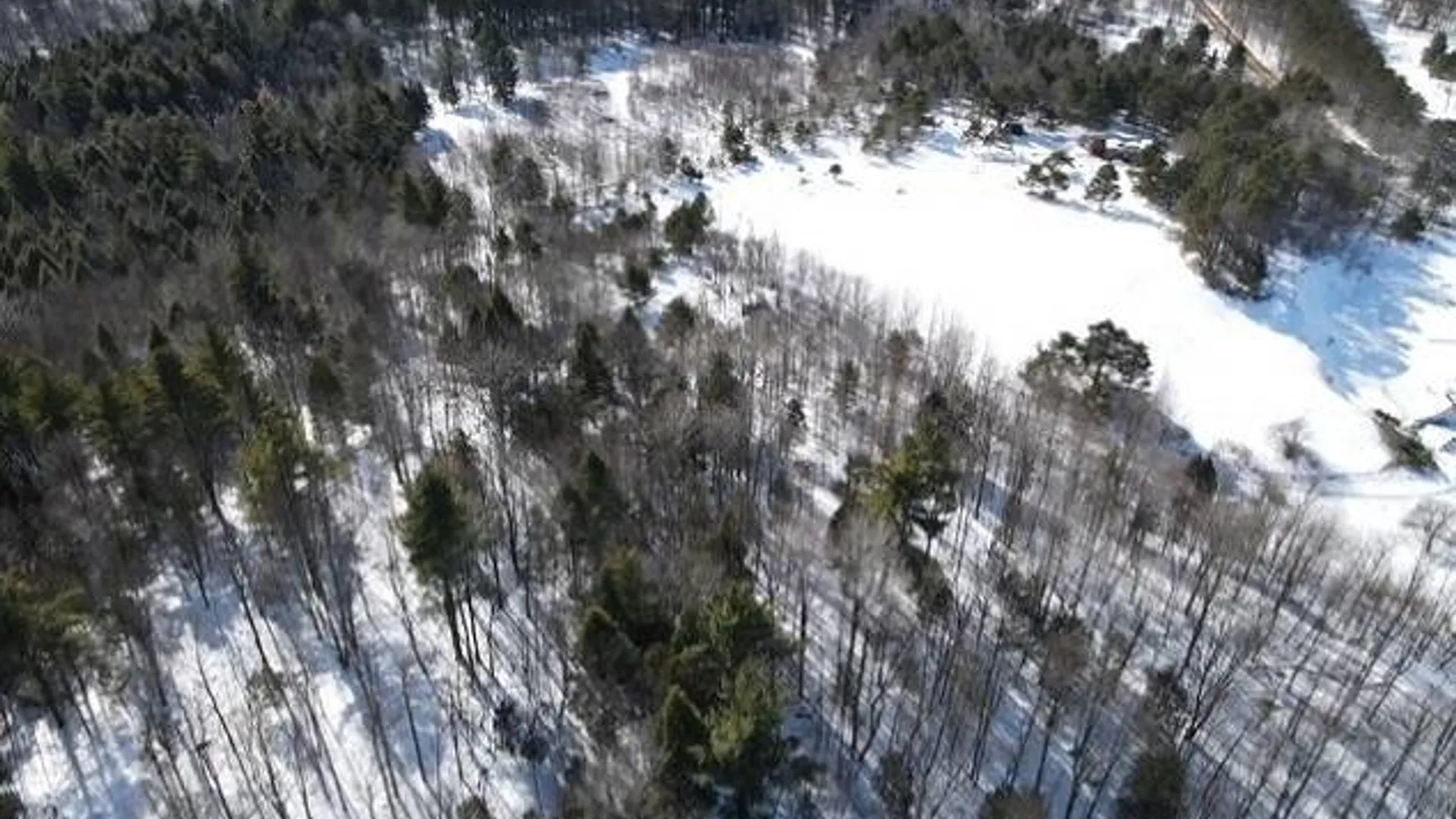 Property at SH 3 State Highway 3, Pitcairn, NY 13642 12