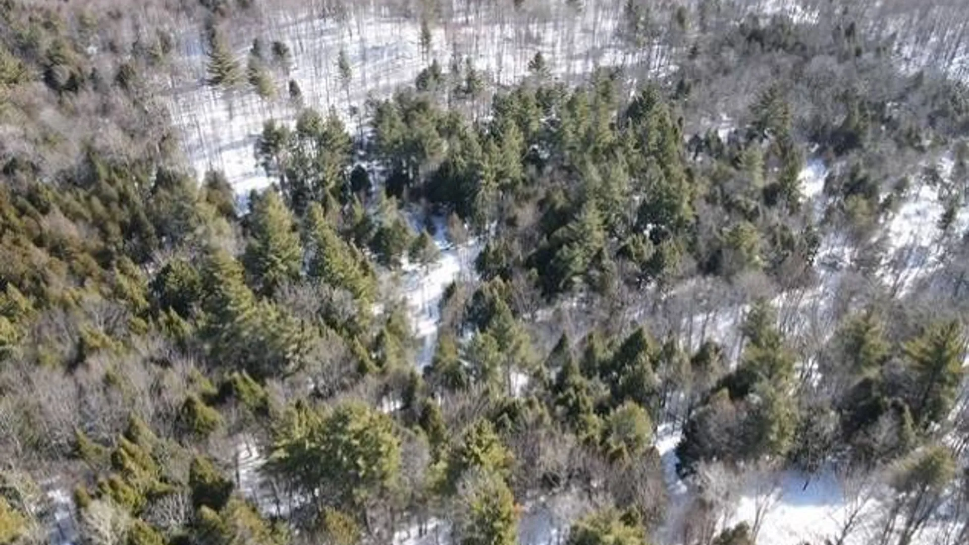 Property at SH 3 State Highway 3, Pitcairn, NY 13642 13