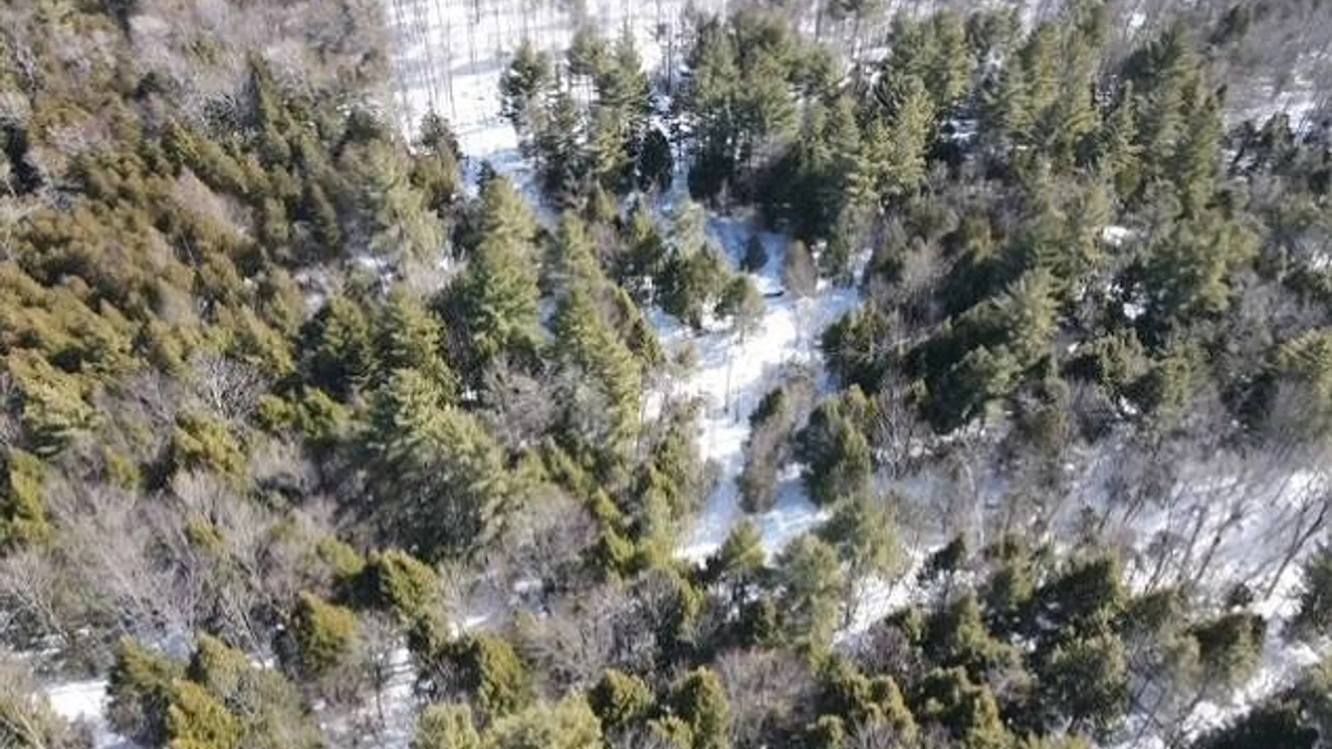 Property at SH 3 State Highway 3, Pitcairn, NY 13642 14