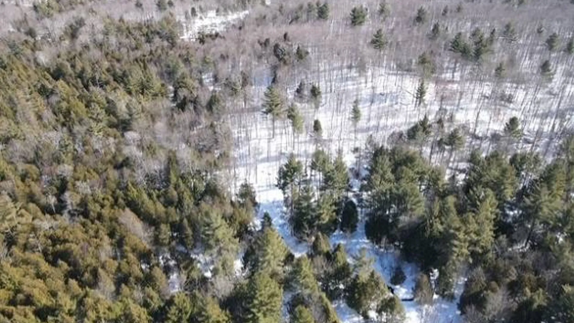 Property at SH 3 State Highway 3, Pitcairn, NY 13642 15