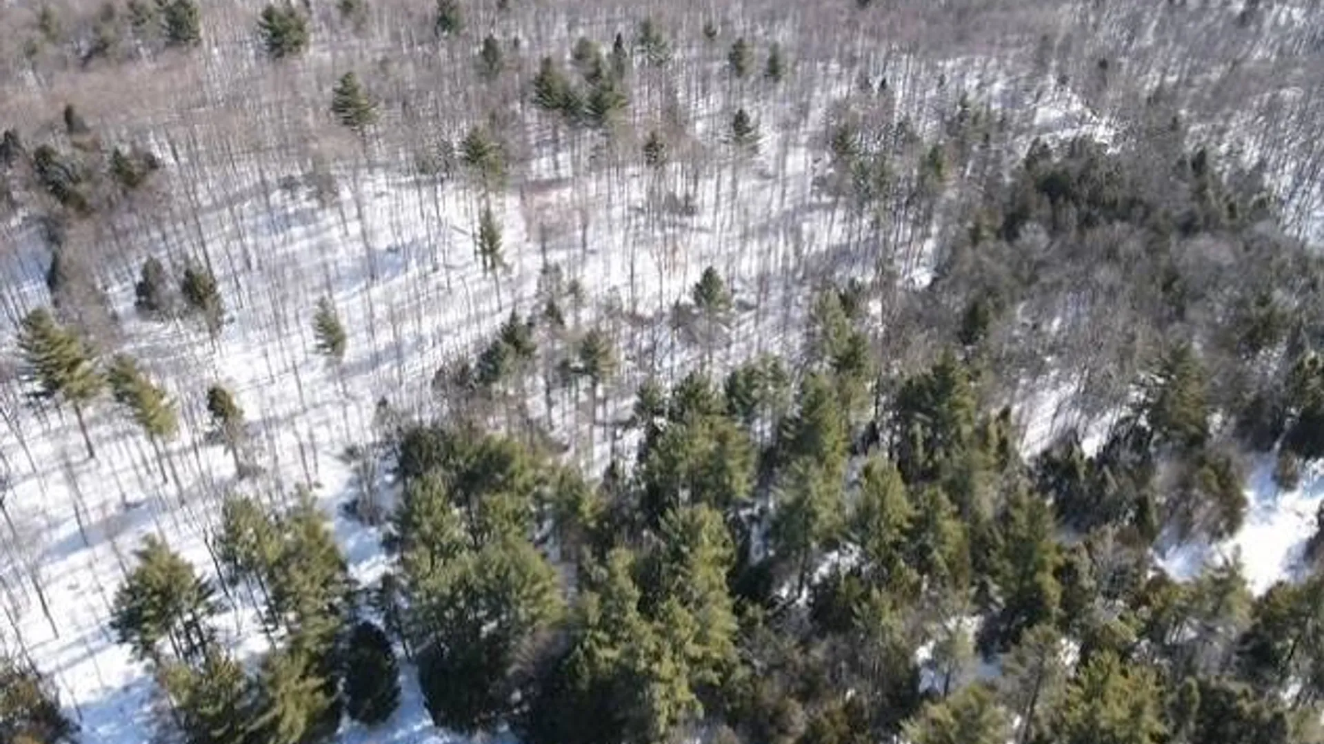 Property at SH 3 State Highway 3, Pitcairn, NY 13642 16