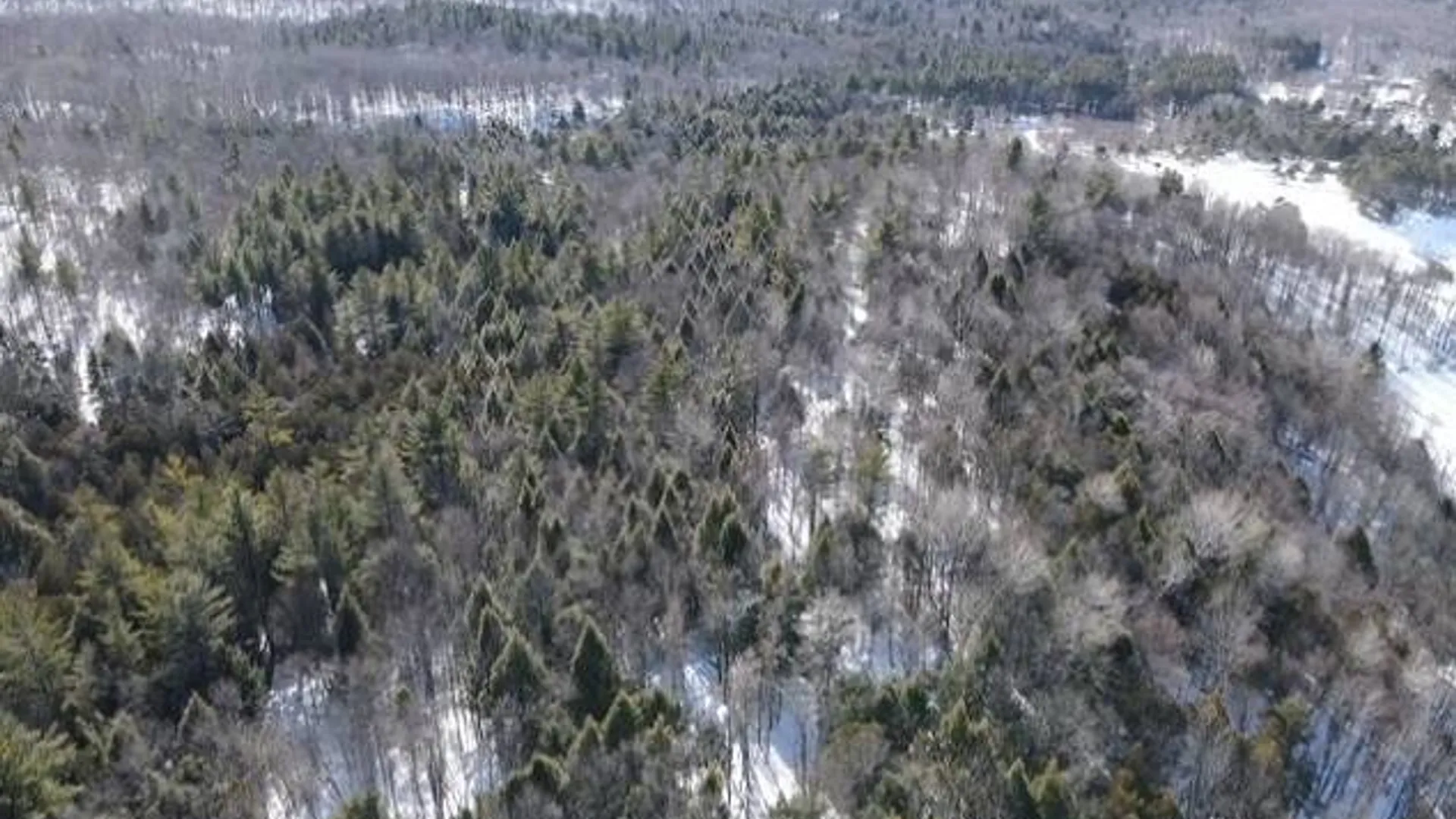 Property at SH 3 State Highway 3, Pitcairn, NY 13642 18