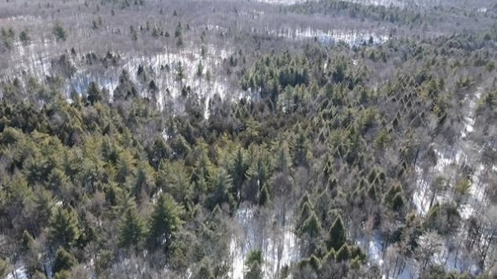 Property at SH 3 State Highway 3, Pitcairn, NY 13642 19