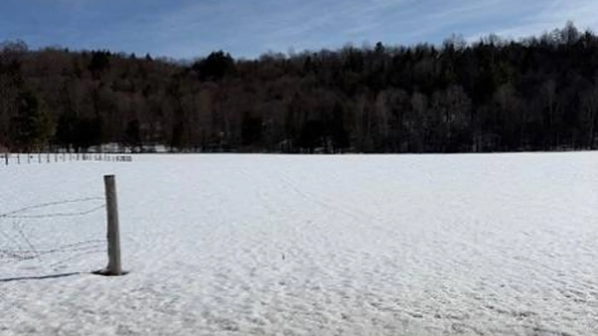 Property at SH 3 State Highway 3, Pitcairn, NY 13642 21
