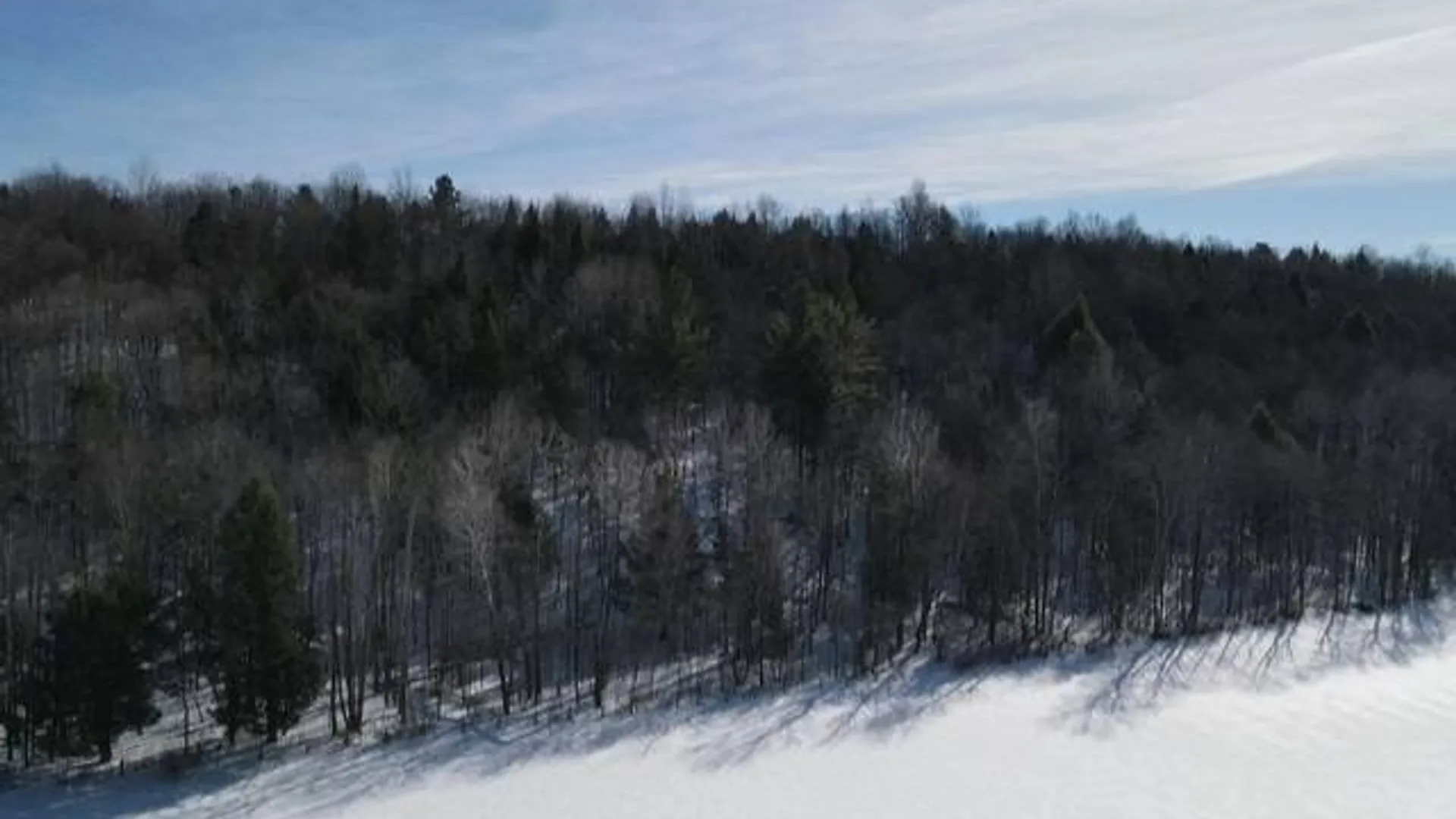 Property at SH 3 State Highway 3, Pitcairn, NY 13642 5