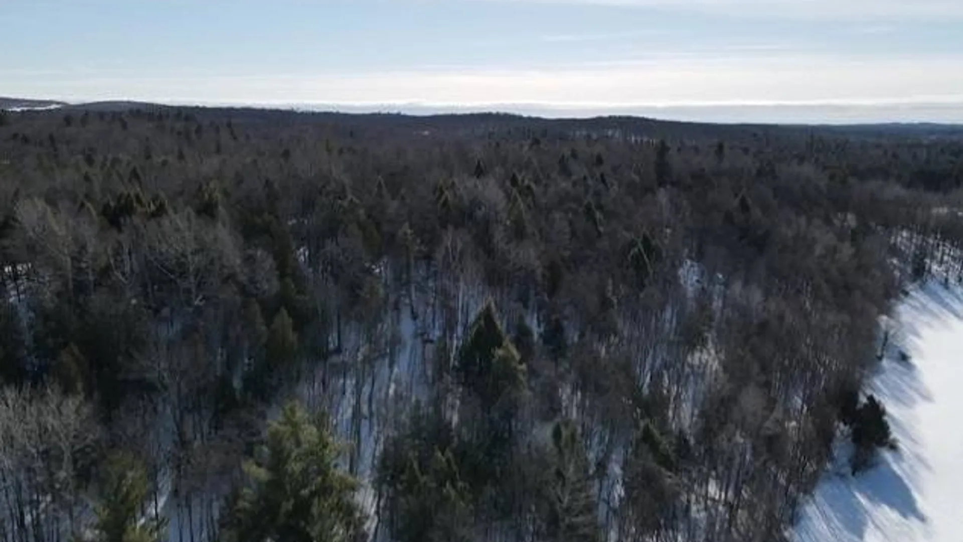 Property at SH 3 State Highway 3, Pitcairn, NY 13642 6