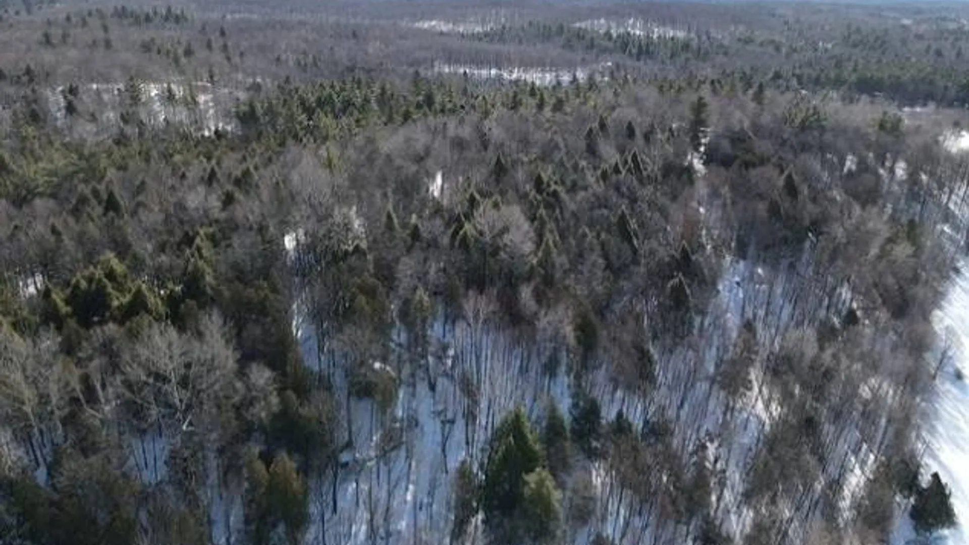 Property at SH 3 State Highway 3, Pitcairn, NY 13642 7